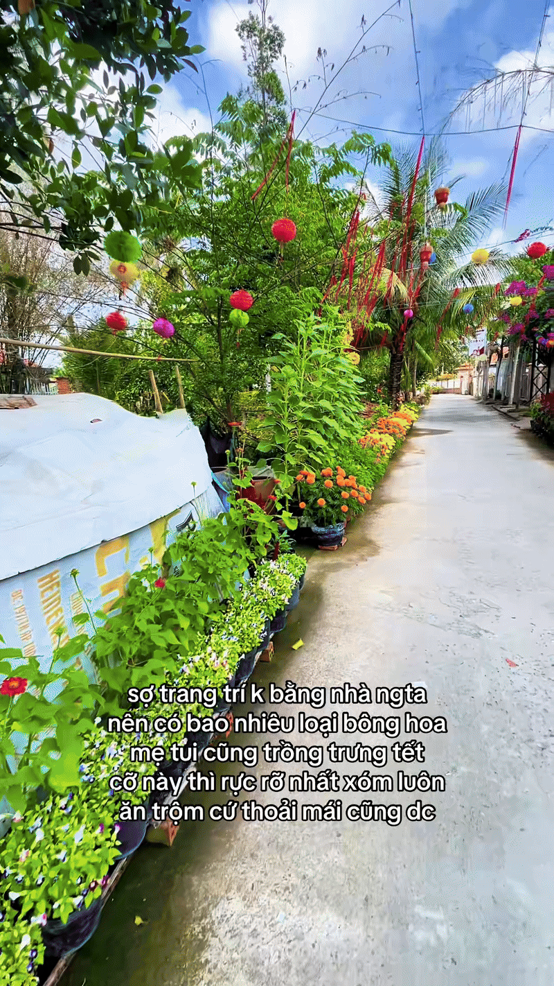 Trung b&igrave;nh nh&agrave; miền T&acirc;y đ&oacute;n Tết: Kh&ocirc;ng nổi đời kh&ocirc;ng nể!- Ảnh 2.