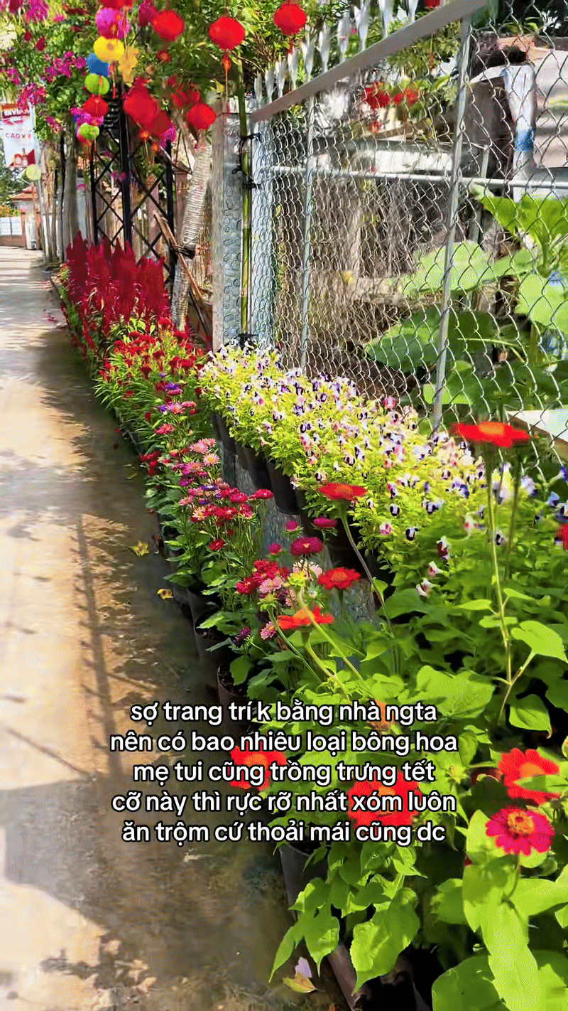 Trung b&igrave;nh nh&agrave; miền T&acirc;y đ&oacute;n Tết: Kh&ocirc;ng nổi đời kh&ocirc;ng nể!- Ảnh 1.