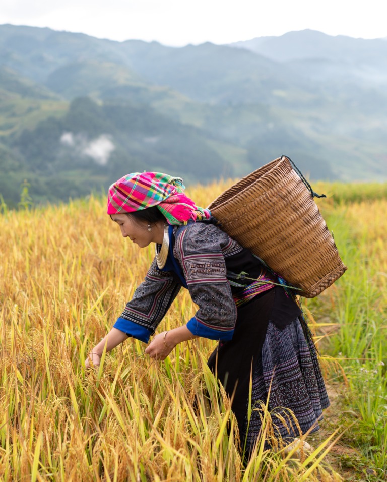 "Hầm tận thế" mở cửa: Việt Nam đ&atilde; gửi g&igrave;?- Ảnh 1.