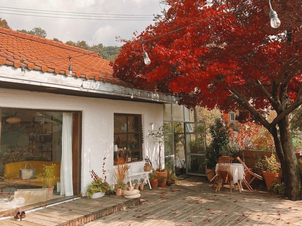 Bỏ phố về qu&ecirc; cải tạo nh&agrave; 30 năm tuổi: Mẹ hai con biến căn nh&agrave; cũ th&agrave;nh biệt thự nghỉ dưỡng, ai nh&igrave;n cũng muốn chuyển đến ở- Ảnh 12.