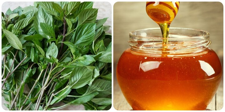 Mật ong v&agrave; h&uacute;ng quế kết hợp với nhau c&oacute; t&aacute;c dụng g&igrave;?- Ảnh 1.