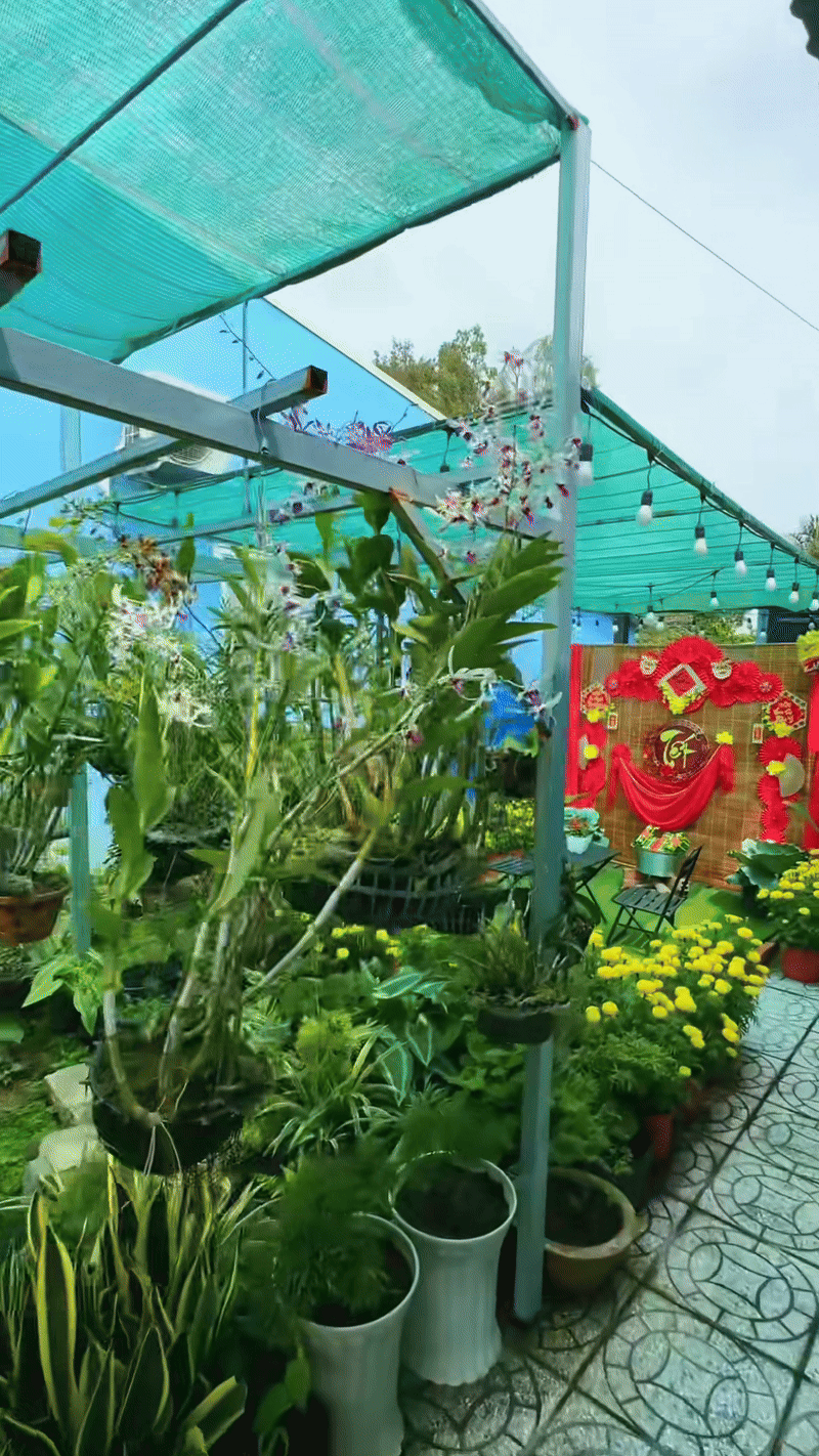 Trung b&igrave;nh nh&agrave; miền T&acirc;y đ&oacute;n Tết: Kh&ocirc;ng nổi đời kh&ocirc;ng nể!- Ảnh 6.