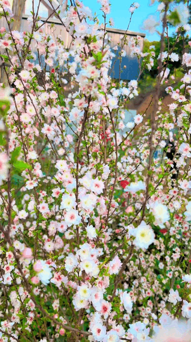 Đã tìm ra Đã tìm ra