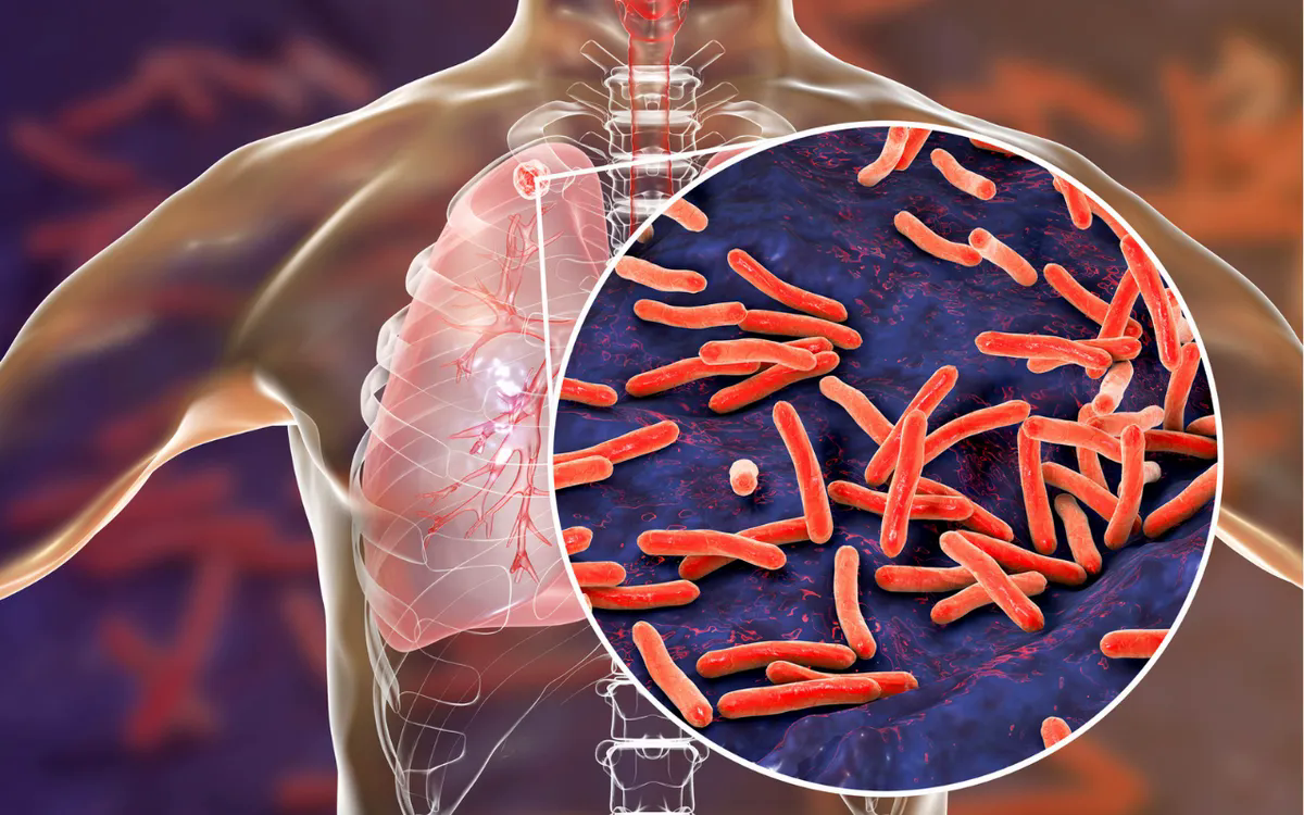 Hình minh họa: Science Photo Library