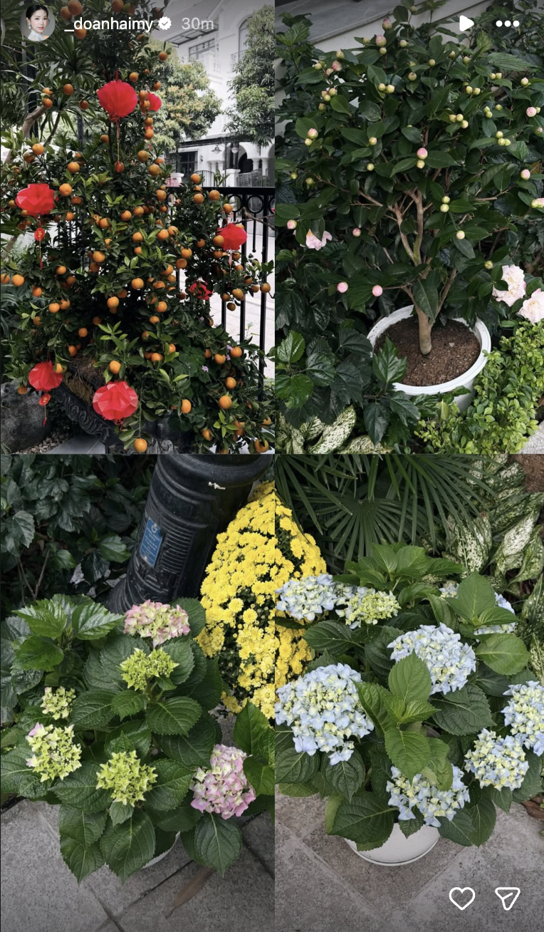 Do&atilde;n Hải My kh&ocirc;ng kh&eacute;o th&igrave; ai kh&eacute;o: Được khen giỏi chăm biệt thự ng&agrave;y Tết, liền nhắc đến mẹ chồng-mẹ đẻ, 10 điểm EQ- Ảnh 7.