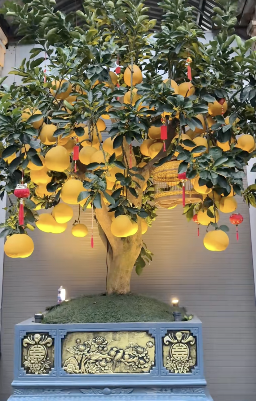 Kh&ocirc;ng kh&iacute; Tết rộn r&agrave;ng nh&agrave; Quang Hải: Chu Thanh Huyền 