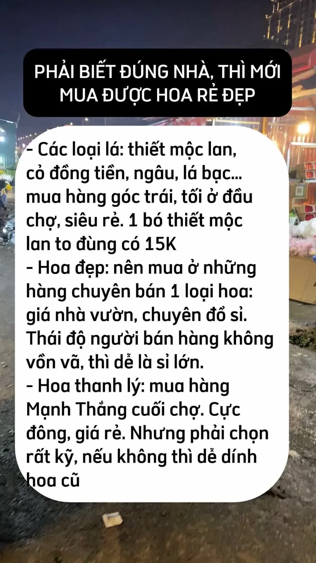 Mua hoa Tết ở Quảng B&aacute;, ch&ecirc;nh v&agrave;i trăm ngh&igrave;n l&agrave; chuyện thường: 5 mẹo kh&ocirc;ng bao giờ bị hớ từ người c&oacute; 10 năm kinh nghiệm- Ảnh 7.