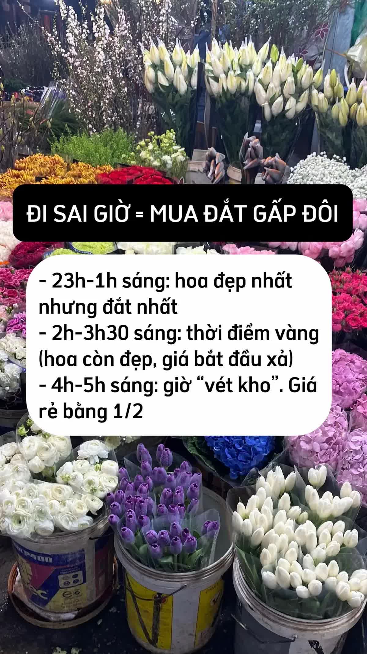 Mua hoa Tết ở Quảng B&aacute;, ch&ecirc;nh v&agrave;i trăm ngh&igrave;n l&agrave; chuyện thường: 5 mẹo kh&ocirc;ng bao giờ bị hớ từ người c&oacute; 10 năm kinh nghiệm- Ảnh 3.