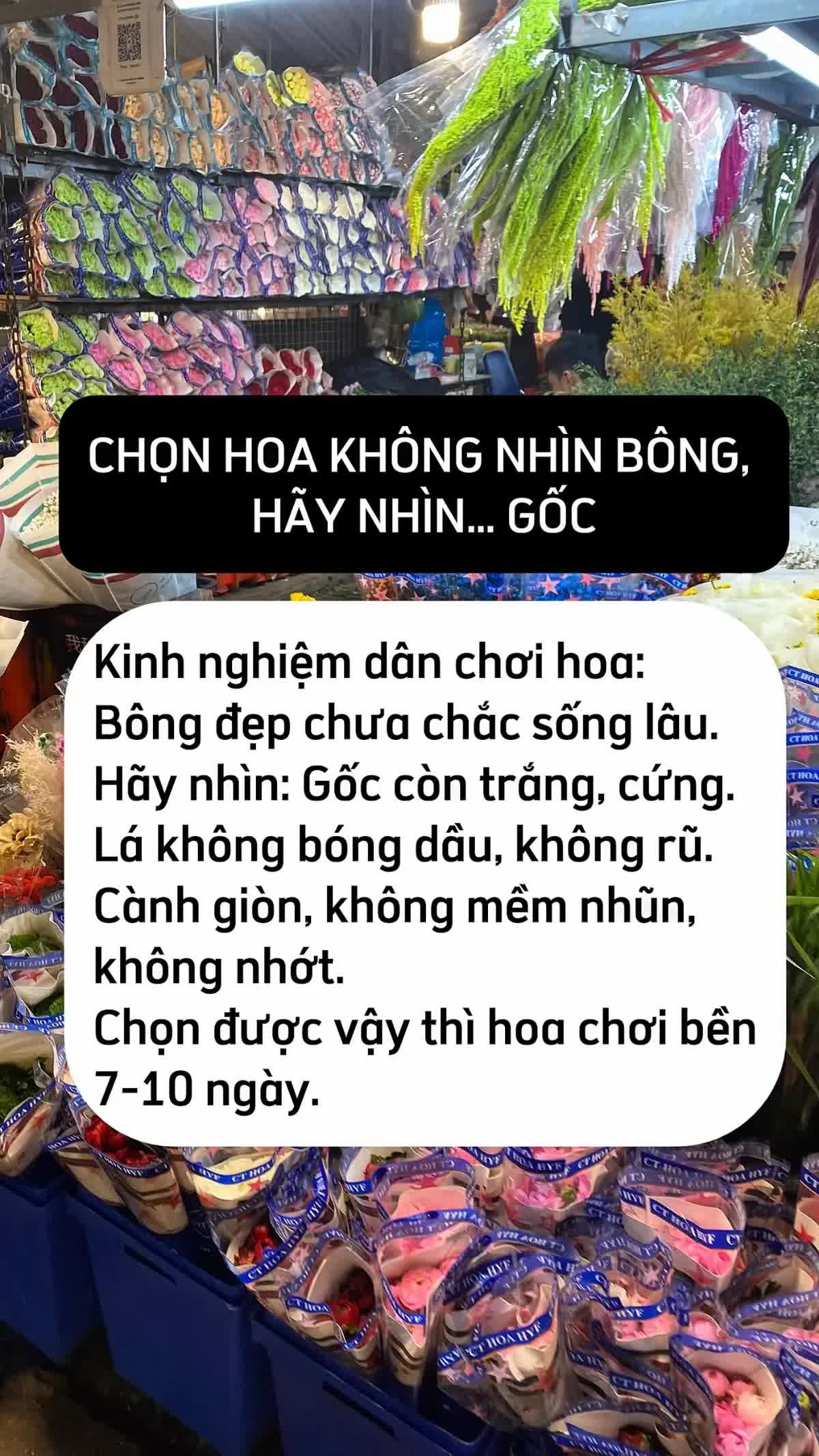 Mua hoa Tết ở Quảng B&aacute;, ch&ecirc;nh v&agrave;i trăm ngh&igrave;n l&agrave; chuyện thường: 5 mẹo kh&ocirc;ng bao giờ bị hớ từ người c&oacute; 10 năm kinh nghiệm- Ảnh 6.