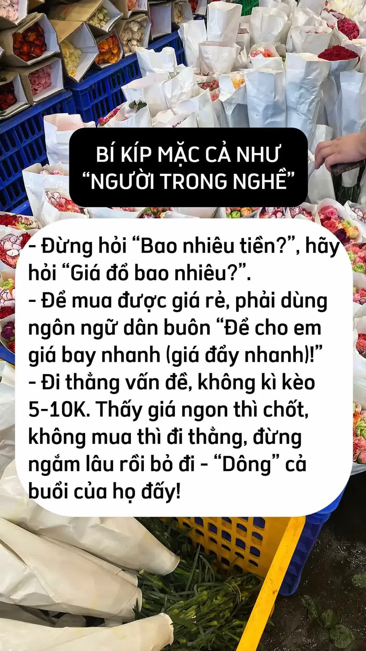 Mua hoa Tết ở Quảng B&aacute;, ch&ecirc;nh v&agrave;i trăm ngh&igrave;n l&agrave; chuyện thường: 5 mẹo kh&ocirc;ng bao giờ bị hớ từ người c&oacute; 10 năm kinh nghiệm- Ảnh 5.