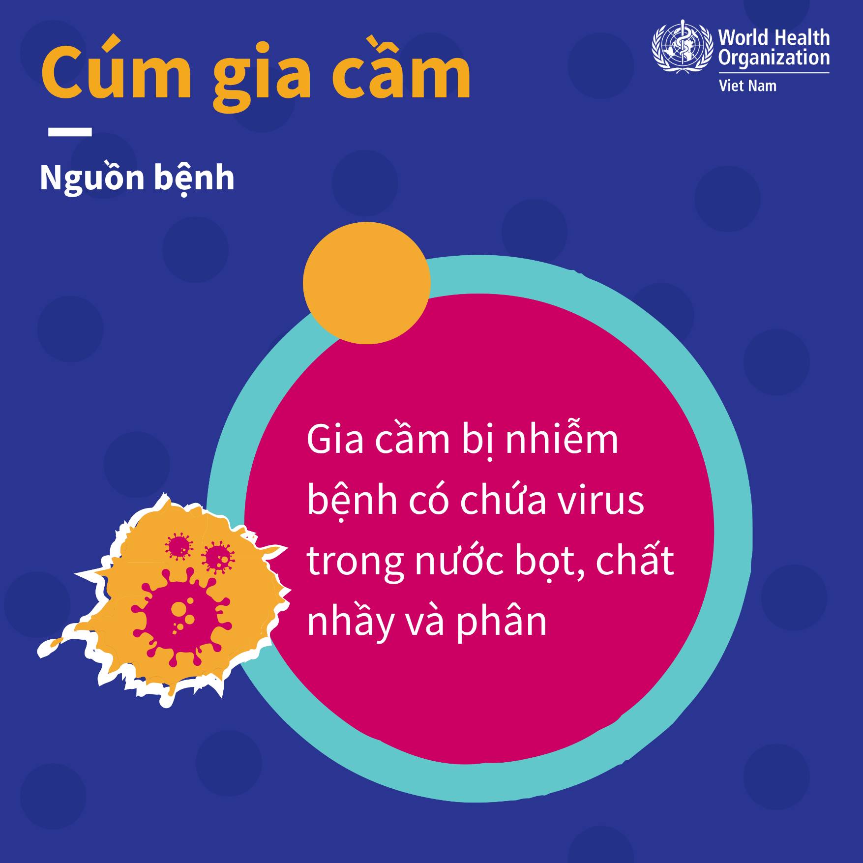 Khuyến c&aacute;o giảm thiểu nguy cơ mắc c&uacute;m gia cầm- Ảnh 2.