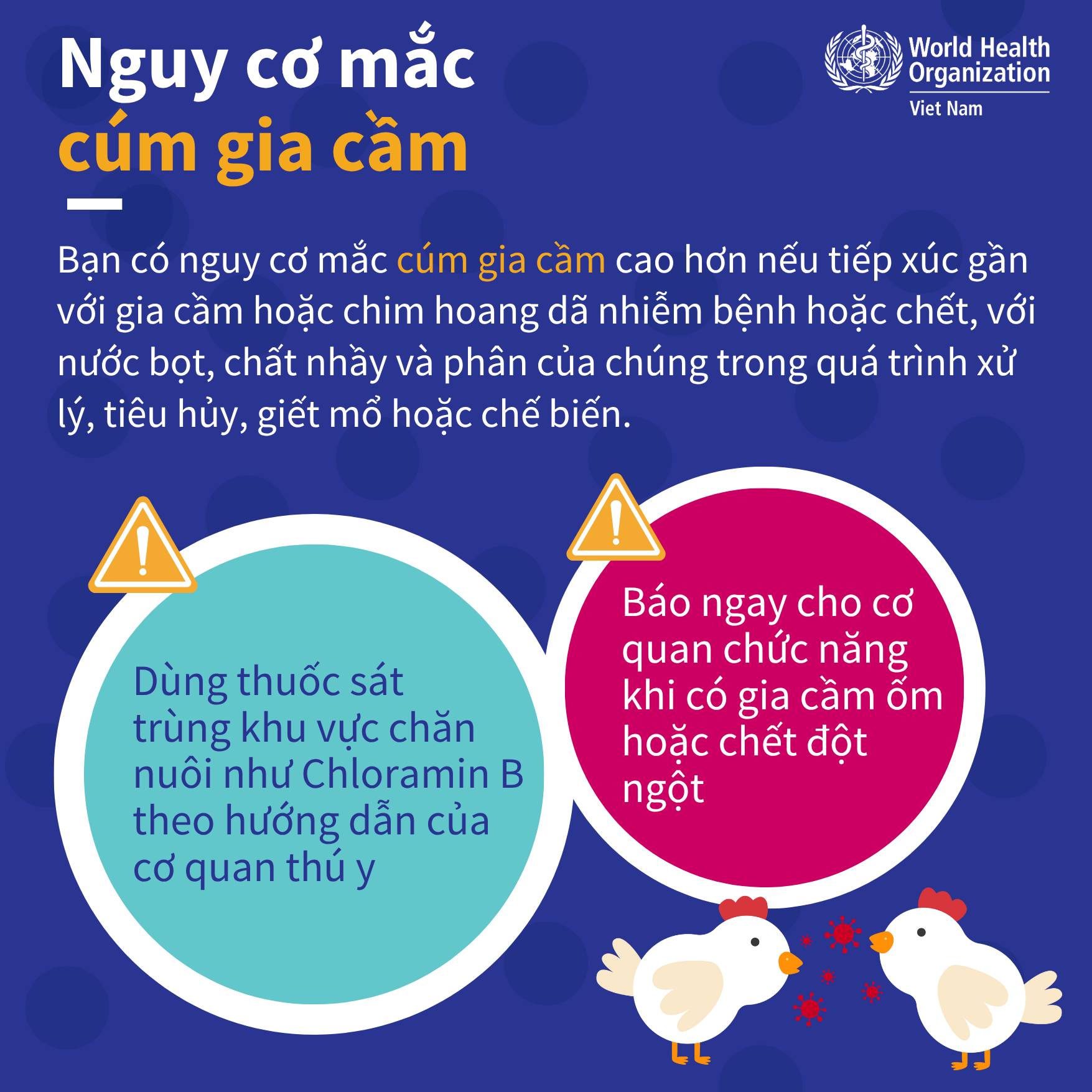Khuyến c&aacute;o giảm thiểu nguy cơ mắc c&uacute;m gia cầm- Ảnh 3.