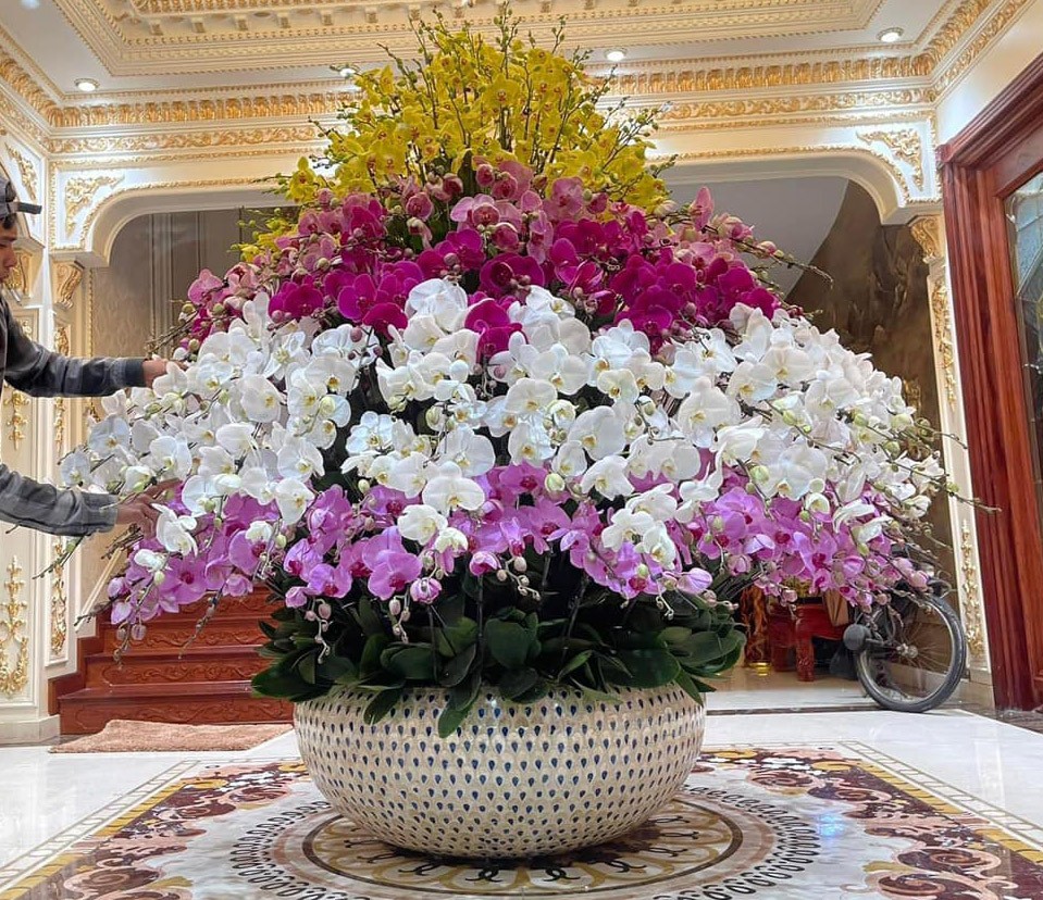 Tự nhi&ecirc;n Tết năm nay, người ta lại thi nhau mua một loại hoa c&oacute; c&aacute;i t&ecirc;n cực mỹ miều đi biếu tặng, vừa c&oacute; gu vừa tinh tế- Ảnh 17.