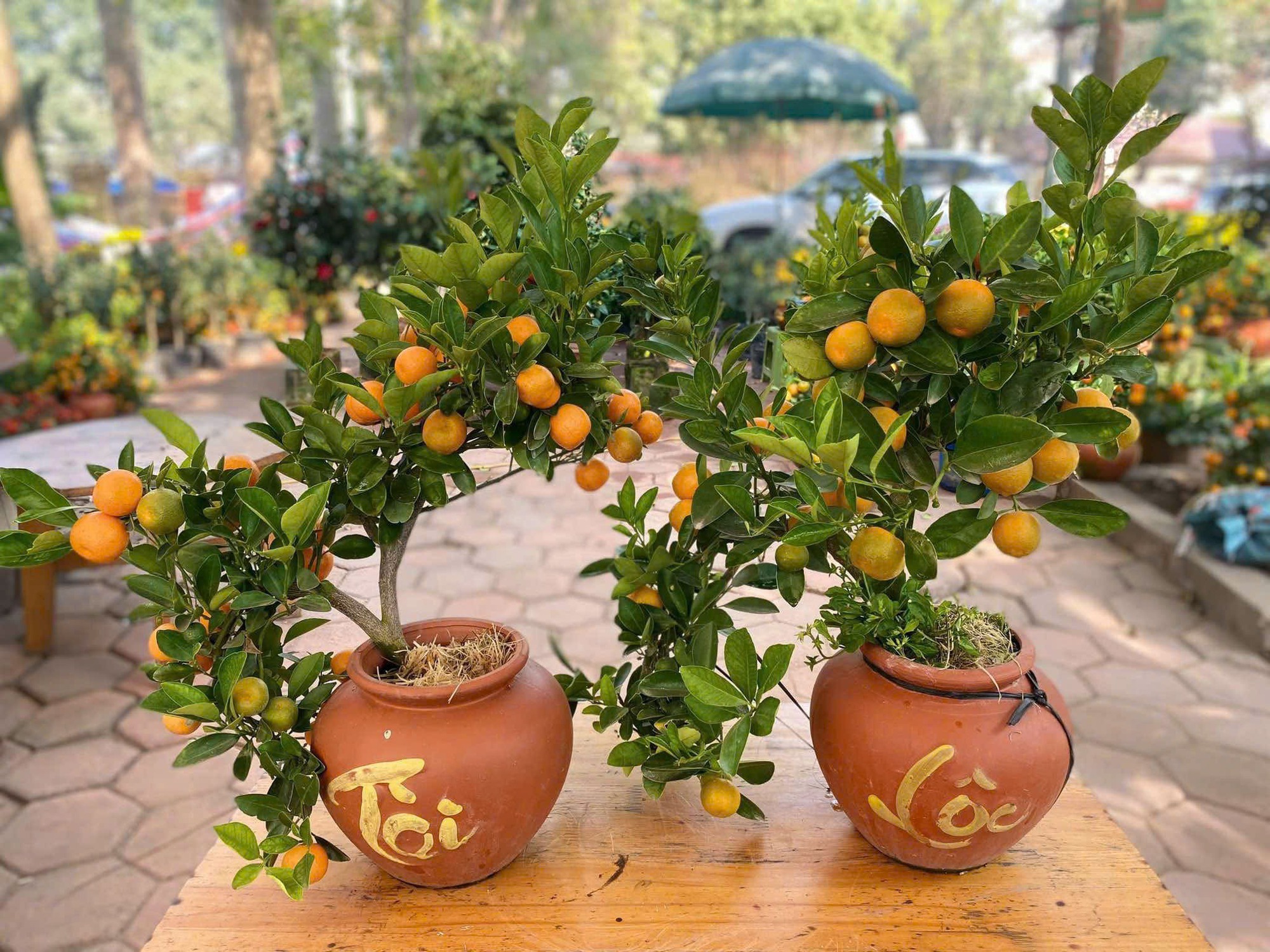 Tết 2026: Ch&acirc;n th&agrave;nh khuy&ecirc;n bạn mua 4 m&oacute;n n&agrave;y, đảm bảo 100% h&agrave;i l&ograve;ng- Ảnh 3.