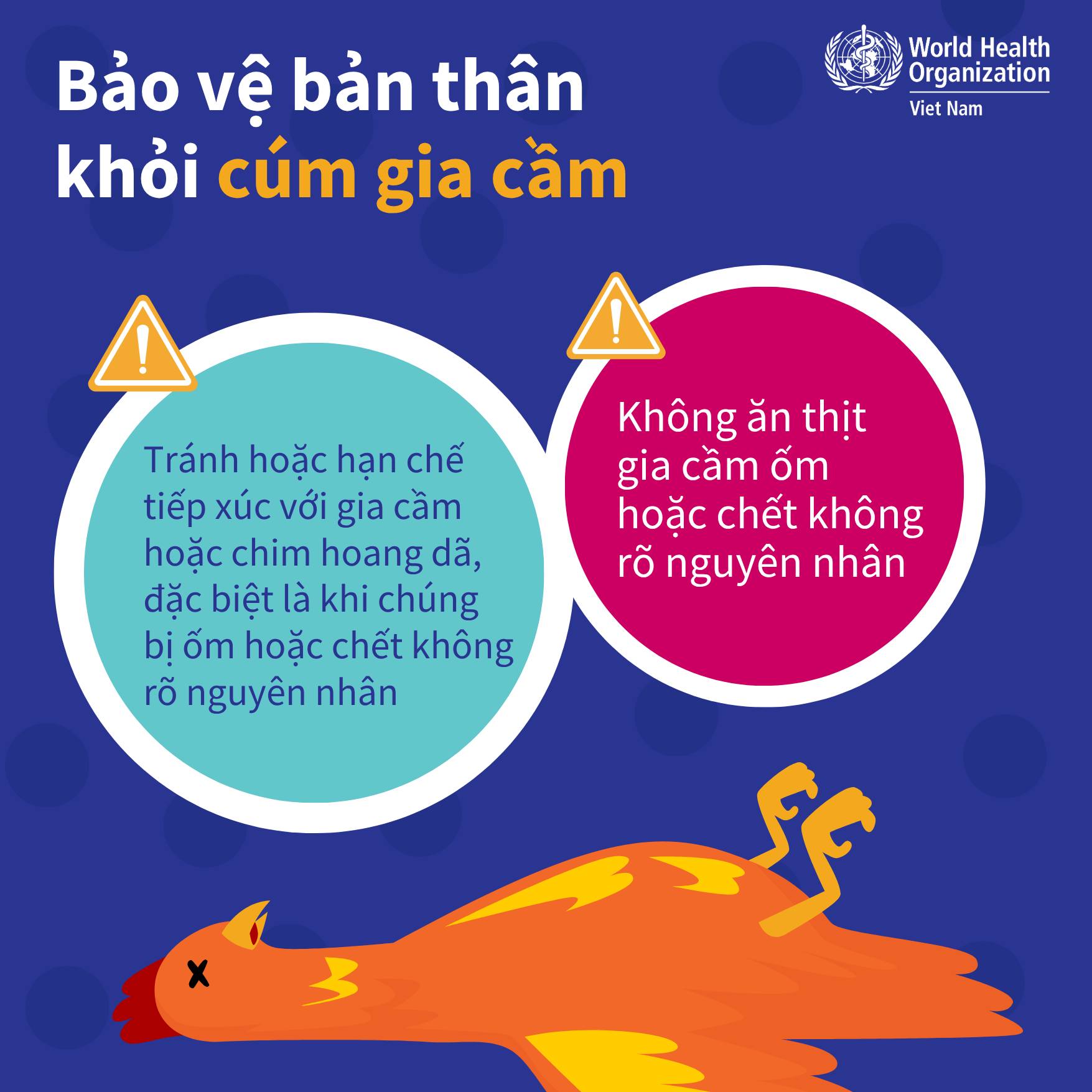 Khuyến c&aacute;o giảm thiểu nguy cơ mắc c&uacute;m gia cầm- Ảnh 4.