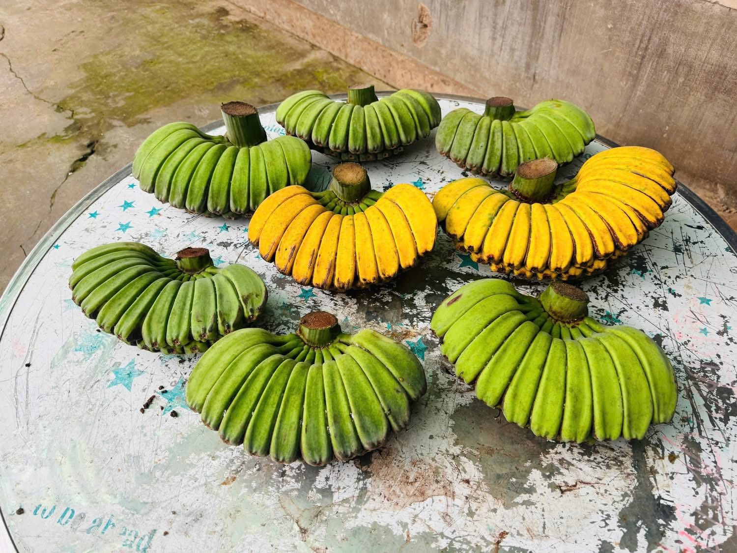 Kh&ocirc;ng phải chuối ngự, chuối ti&ecirc;u xanh, đ&acirc;y mới l&agrave; nải chuối đắt nhất sạp: L&yacute; do v&igrave; sao?- Ảnh 2.