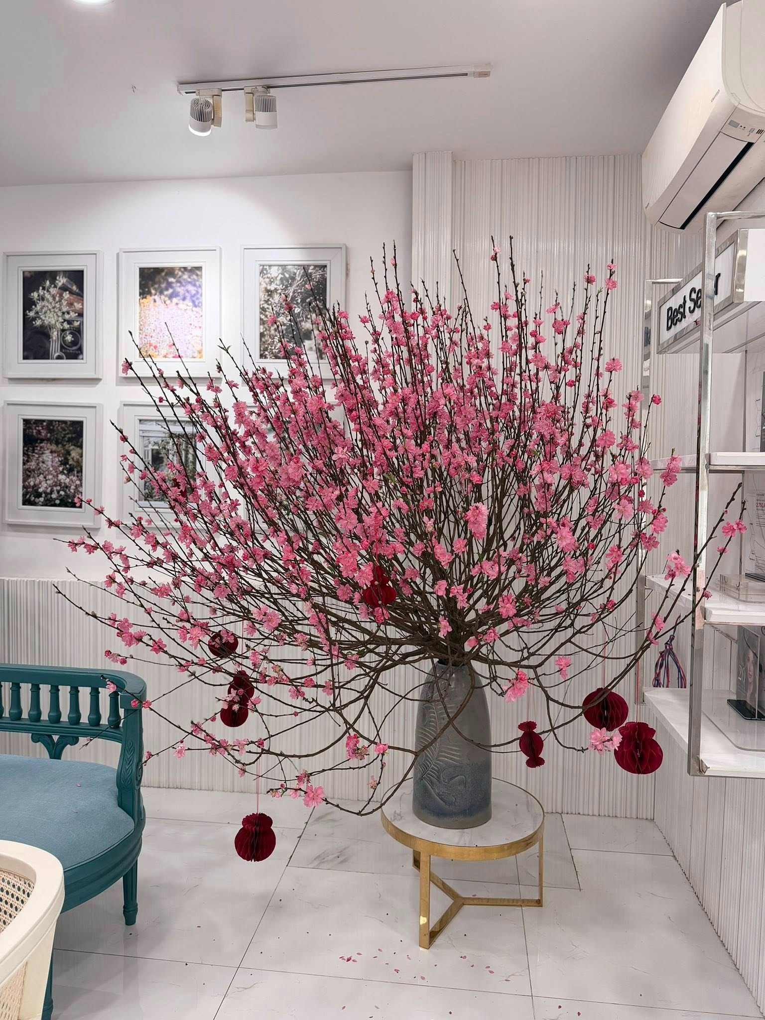 Valentine cũng l&agrave; 27 Tết, hội CEO, ph&uacute; b&agrave; trưng mai - đ&agrave;o - quất ngập biệt thự đọ đẳng cấp: Hoa hồng "thất sủng"?- Ảnh 7.