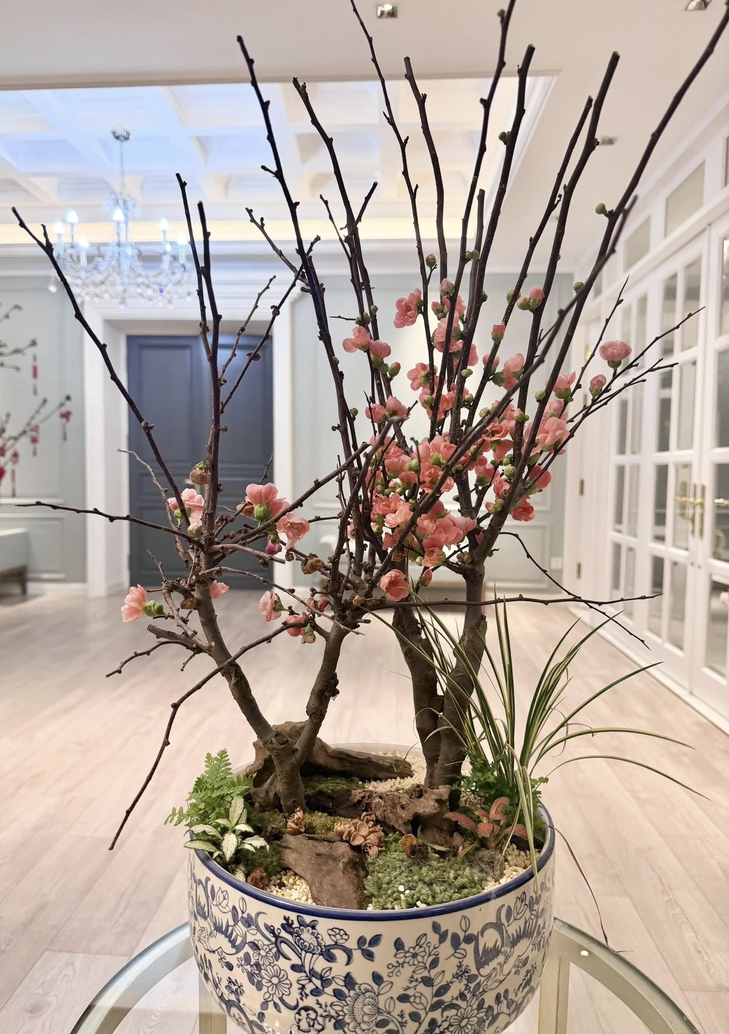 Valentine cũng l&agrave; 27 Tết, hội CEO, ph&uacute; b&agrave; trưng mai - đ&agrave;o - quất ngập biệt thự đọ đẳng cấp: Hoa hồng "thất sủng"?- Ảnh 9.