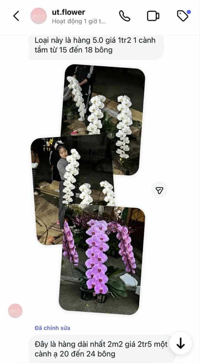 Tự nhi&ecirc;n Tết năm nay, người ta lại thi nhau mua một loại hoa c&oacute; c&aacute;i t&ecirc;n cực mỹ miều đi biếu tặng, vừa c&oacute; gu vừa tinh tế- Ảnh 12.