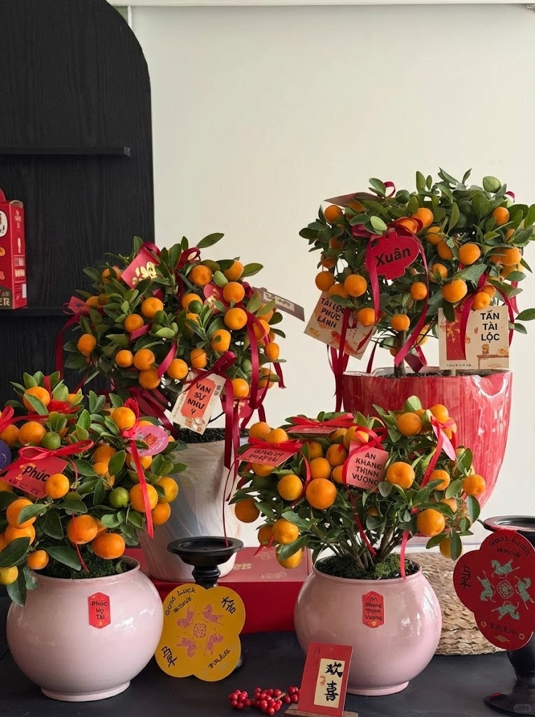 Chưa rinh chậu quất n&agrave;y coi như Tết vơi đi một nửa: Nhỏ th&ocirc;i nhưng "g&aacute;nh" trọn kh&ocirc;ng kh&iacute; xu&acirc;n trong nh&agrave;- Ảnh 7.