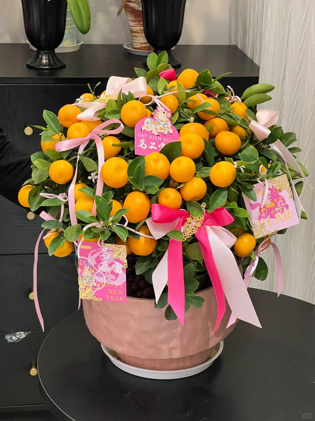 Chưa rinh chậu quất n&agrave;y coi như Tết vơi đi một nửa: Nhỏ th&ocirc;i nhưng "g&aacute;nh" trọn kh&ocirc;ng kh&iacute; xu&acirc;n trong nh&agrave;- Ảnh 37.