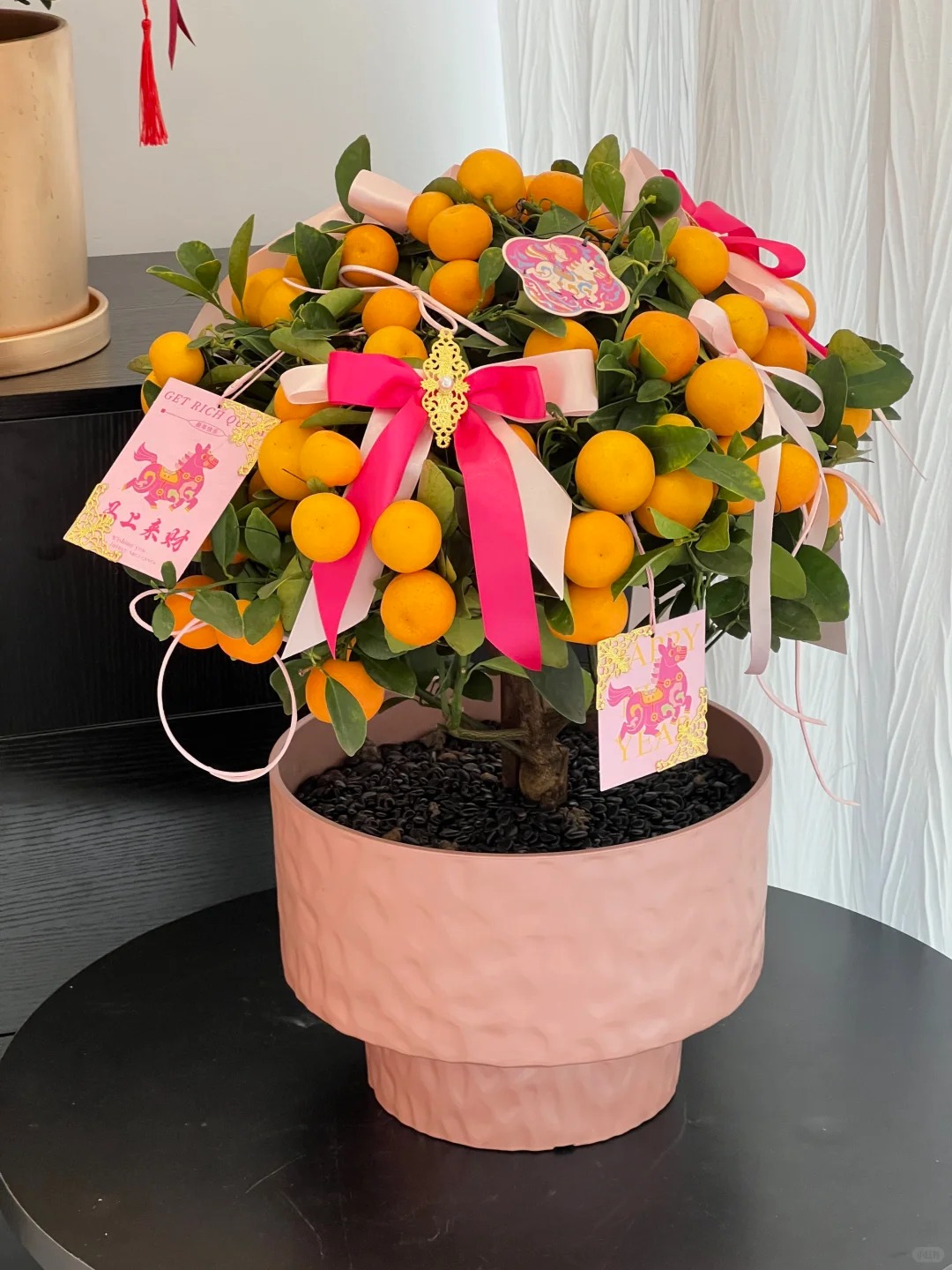 Chưa rinh chậu quất n&agrave;y coi như Tết vơi đi một nửa: Nhỏ th&ocirc;i nhưng "g&aacute;nh" trọn kh&ocirc;ng kh&iacute; xu&acirc;n trong nh&agrave;- Ảnh 38.