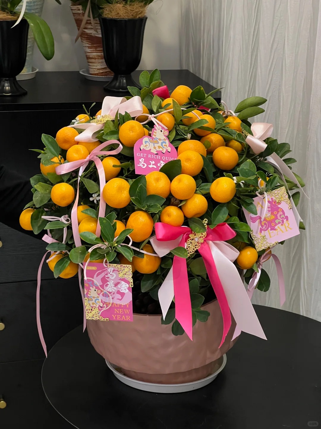 Chưa rinh chậu quất n&agrave;y coi như Tết vơi đi một nửa: Nhỏ th&ocirc;i nhưng "g&aacute;nh" trọn kh&ocirc;ng kh&iacute; xu&acirc;n trong nh&agrave;- Ảnh 40.