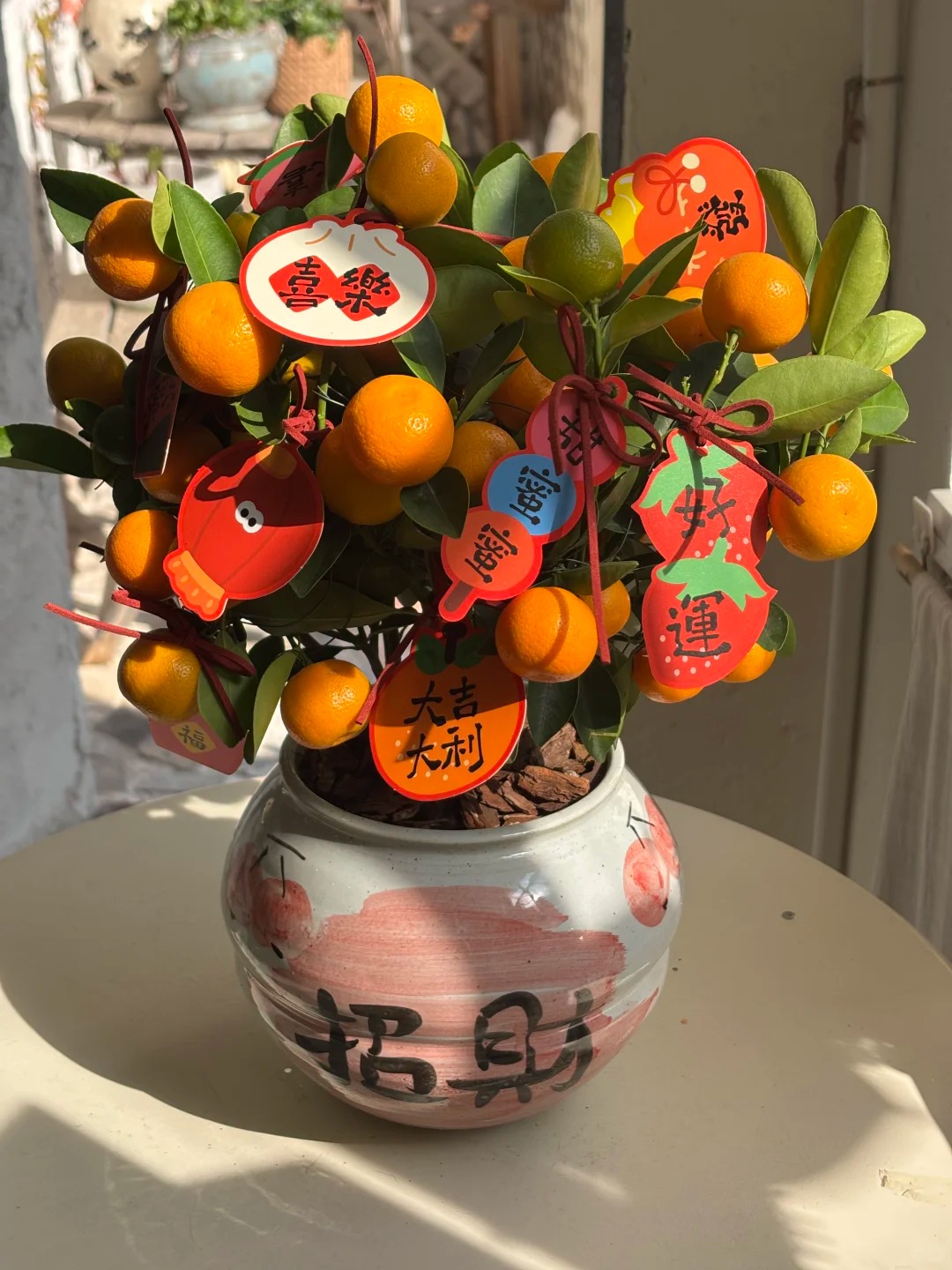 Chưa rinh chậu quất n&agrave;y coi như Tết vơi đi một nửa: Nhỏ th&ocirc;i nhưng "g&aacute;nh" trọn kh&ocirc;ng kh&iacute; xu&acirc;n trong nh&agrave;- Ảnh 22.