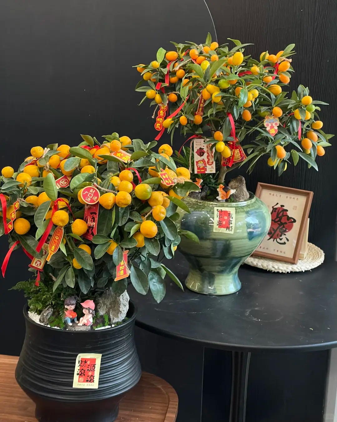 Chưa rinh chậu quất n&agrave;y coi như Tết vơi đi một nửa: Nhỏ th&ocirc;i nhưng "g&aacute;nh" trọn kh&ocirc;ng kh&iacute; xu&acirc;n trong nh&agrave;- Ảnh 20.