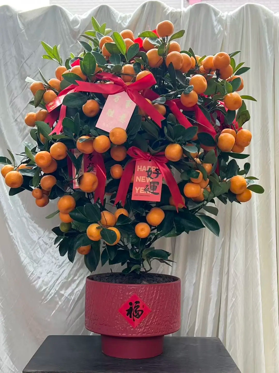 Chưa rinh chậu quất n&agrave;y coi như Tết vơi đi một nửa: Nhỏ th&ocirc;i nhưng "g&aacute;nh" trọn kh&ocirc;ng kh&iacute; xu&acirc;n trong nh&agrave;- Ảnh 17.