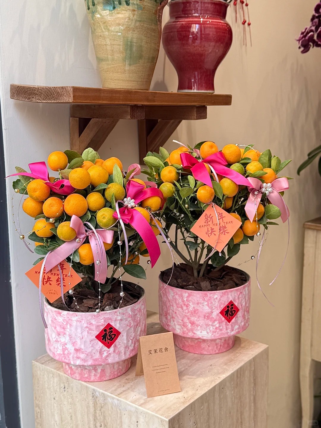 Chưa rinh chậu quất n&agrave;y coi như Tết vơi đi một nửa: Nhỏ th&ocirc;i nhưng "g&aacute;nh" trọn kh&ocirc;ng kh&iacute; xu&acirc;n trong nh&agrave;- Ảnh 19.