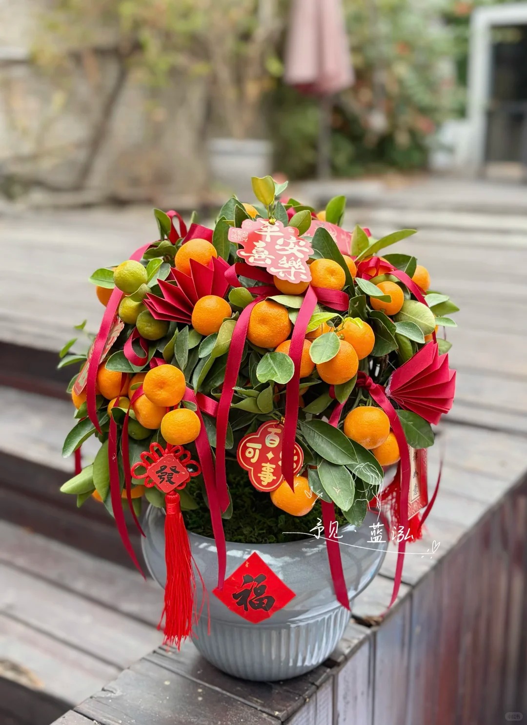 Chưa rinh chậu quất n&agrave;y coi như Tết vơi đi một nửa: Nhỏ th&ocirc;i nhưng "g&aacute;nh" trọn kh&ocirc;ng kh&iacute; xu&acirc;n trong nh&agrave;- Ảnh 21.