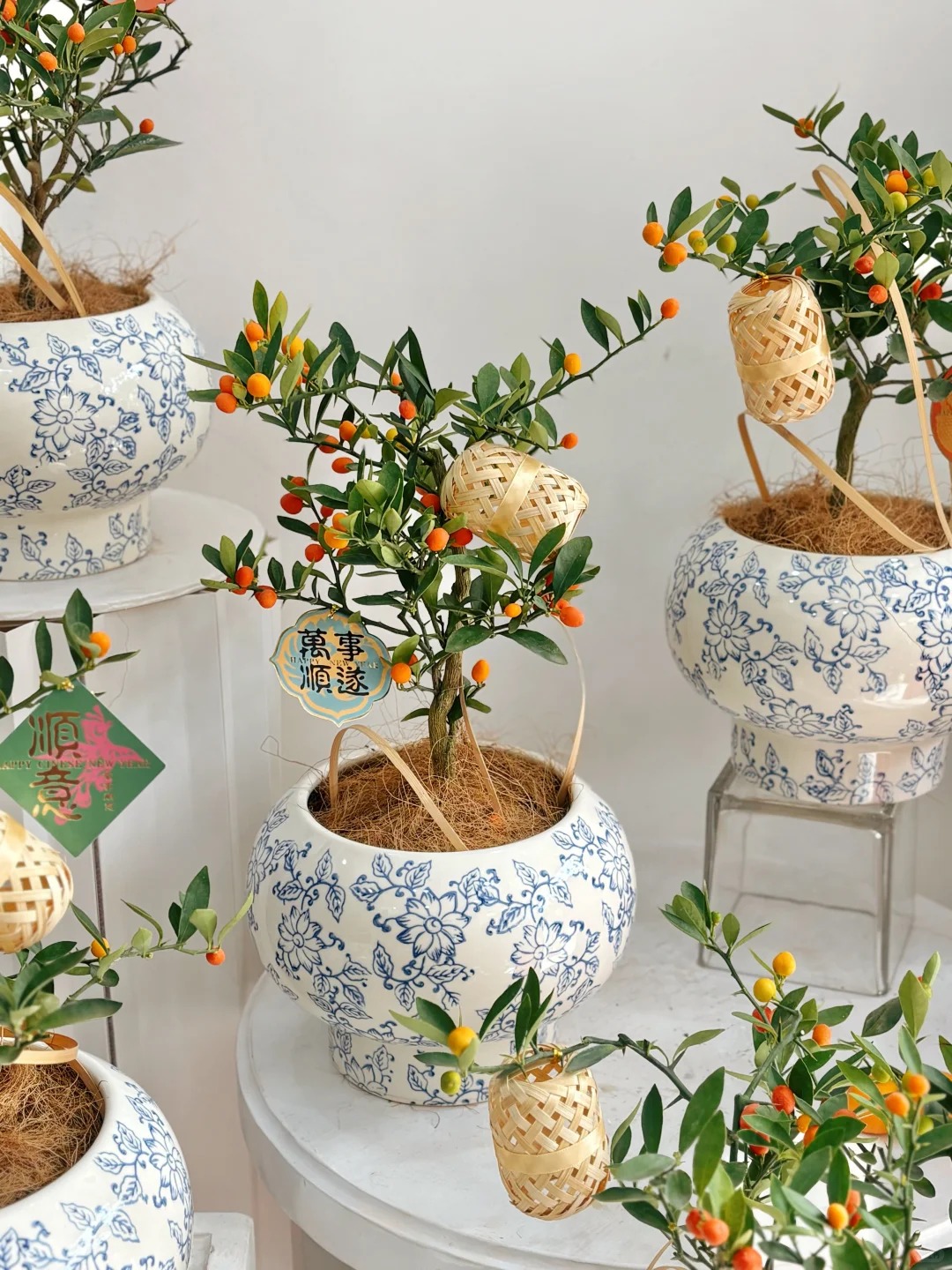 Chưa rinh chậu quất n&agrave;y coi như Tết vơi đi một nửa: Nhỏ th&ocirc;i nhưng "g&aacute;nh" trọn kh&ocirc;ng kh&iacute; xu&acirc;n trong nh&agrave;- Ảnh 32.