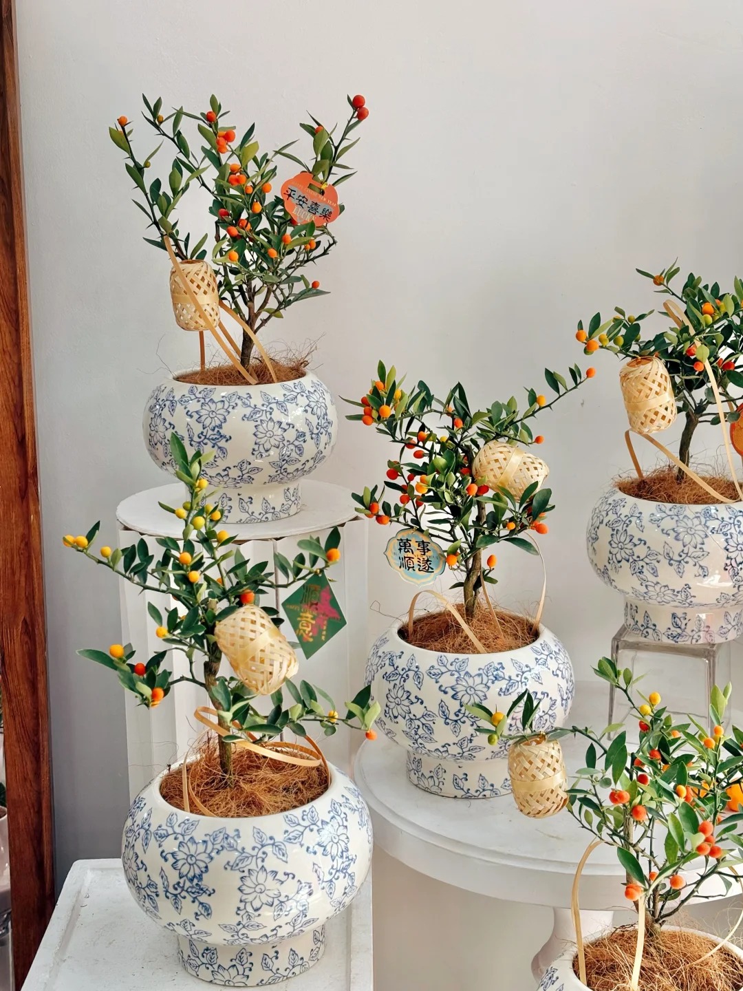 Chưa rinh chậu quất n&agrave;y coi như Tết vơi đi một nửa: Nhỏ th&ocirc;i nhưng "g&aacute;nh" trọn kh&ocirc;ng kh&iacute; xu&acirc;n trong nh&agrave;- Ảnh 33.