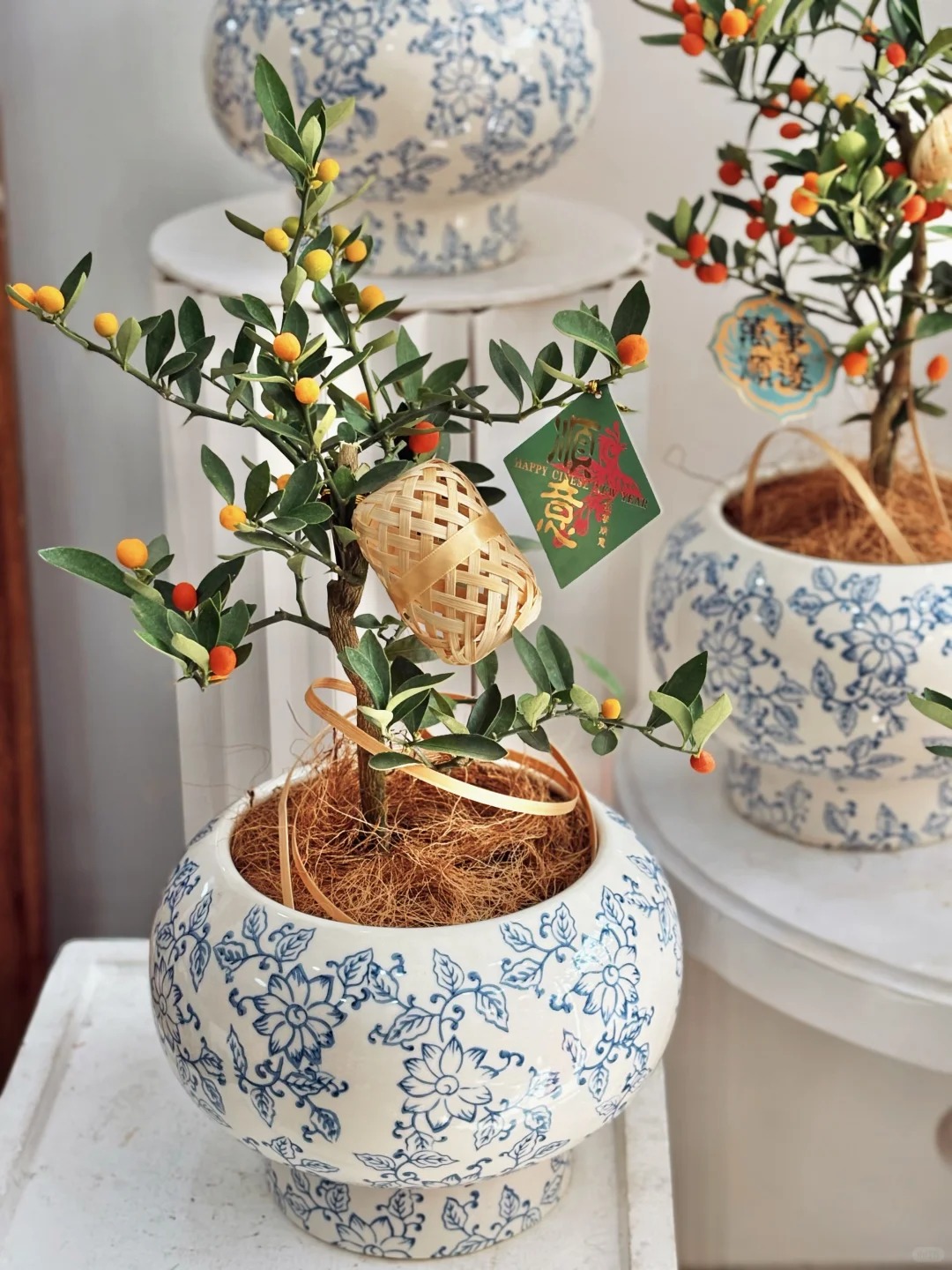 Chưa rinh chậu quất n&agrave;y coi như Tết vơi đi một nửa: Nhỏ th&ocirc;i nhưng "g&aacute;nh" trọn kh&ocirc;ng kh&iacute; xu&acirc;n trong nh&agrave;- Ảnh 34.