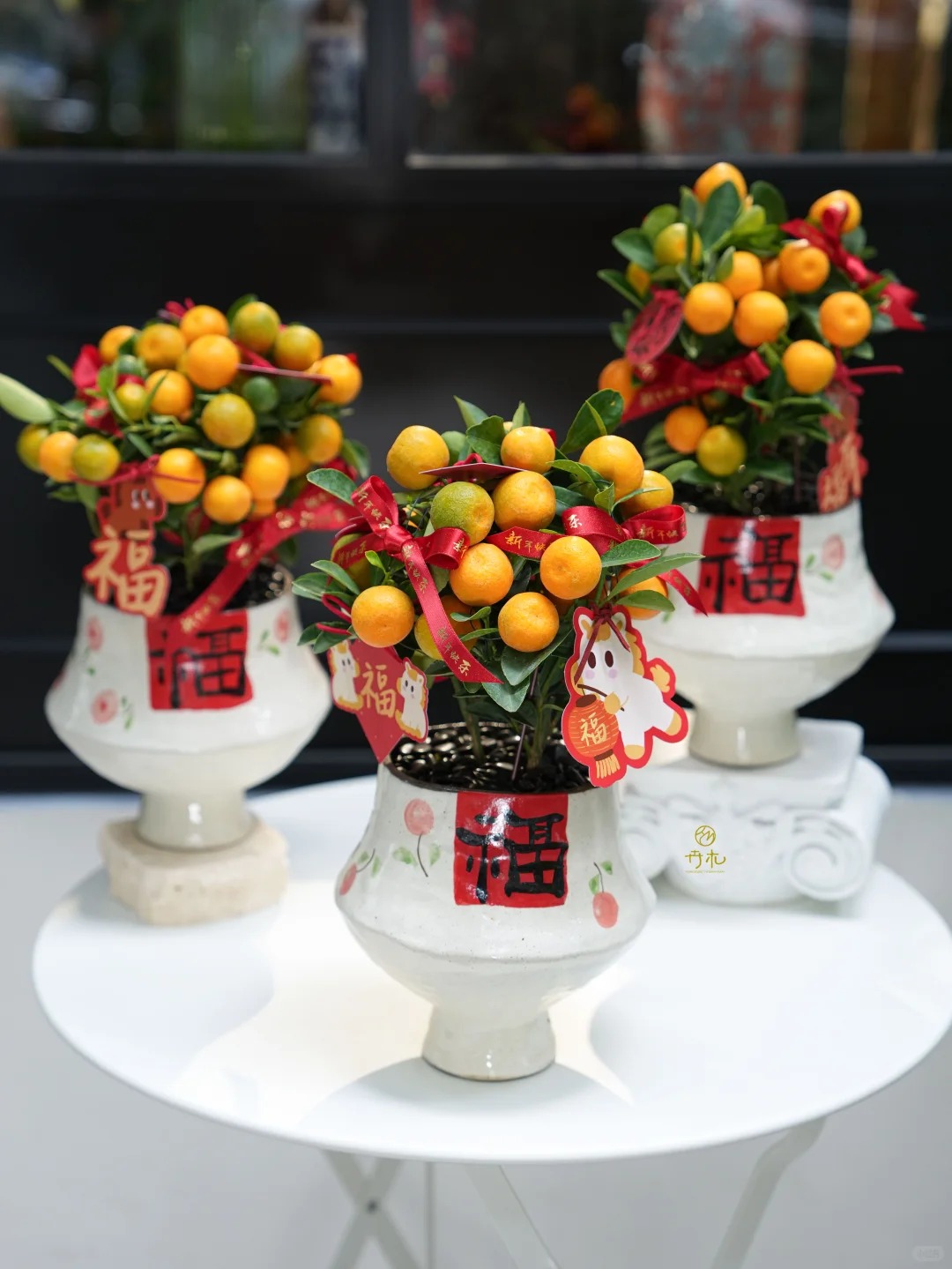 Chưa rinh chậu quất n&agrave;y coi như Tết vơi đi một nửa: Nhỏ th&ocirc;i nhưng "g&aacute;nh" trọn kh&ocirc;ng kh&iacute; xu&acirc;n trong nh&agrave;- Ảnh 44.