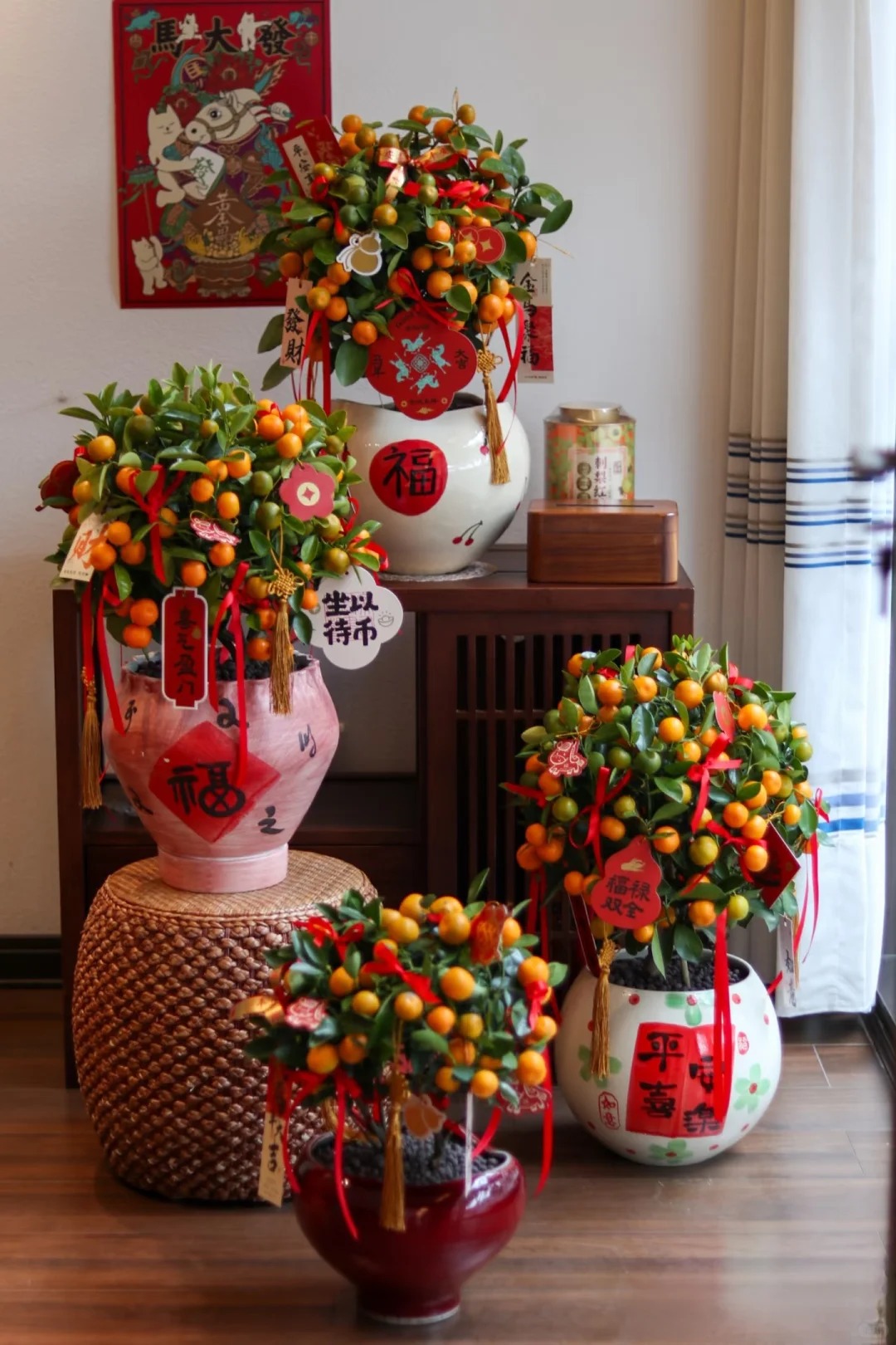 Chưa rinh chậu quất n&agrave;y coi như Tết vơi đi một nửa: Nhỏ th&ocirc;i nhưng "g&aacute;nh" trọn kh&ocirc;ng kh&iacute; xu&acirc;n trong nh&agrave;- Ảnh 29.