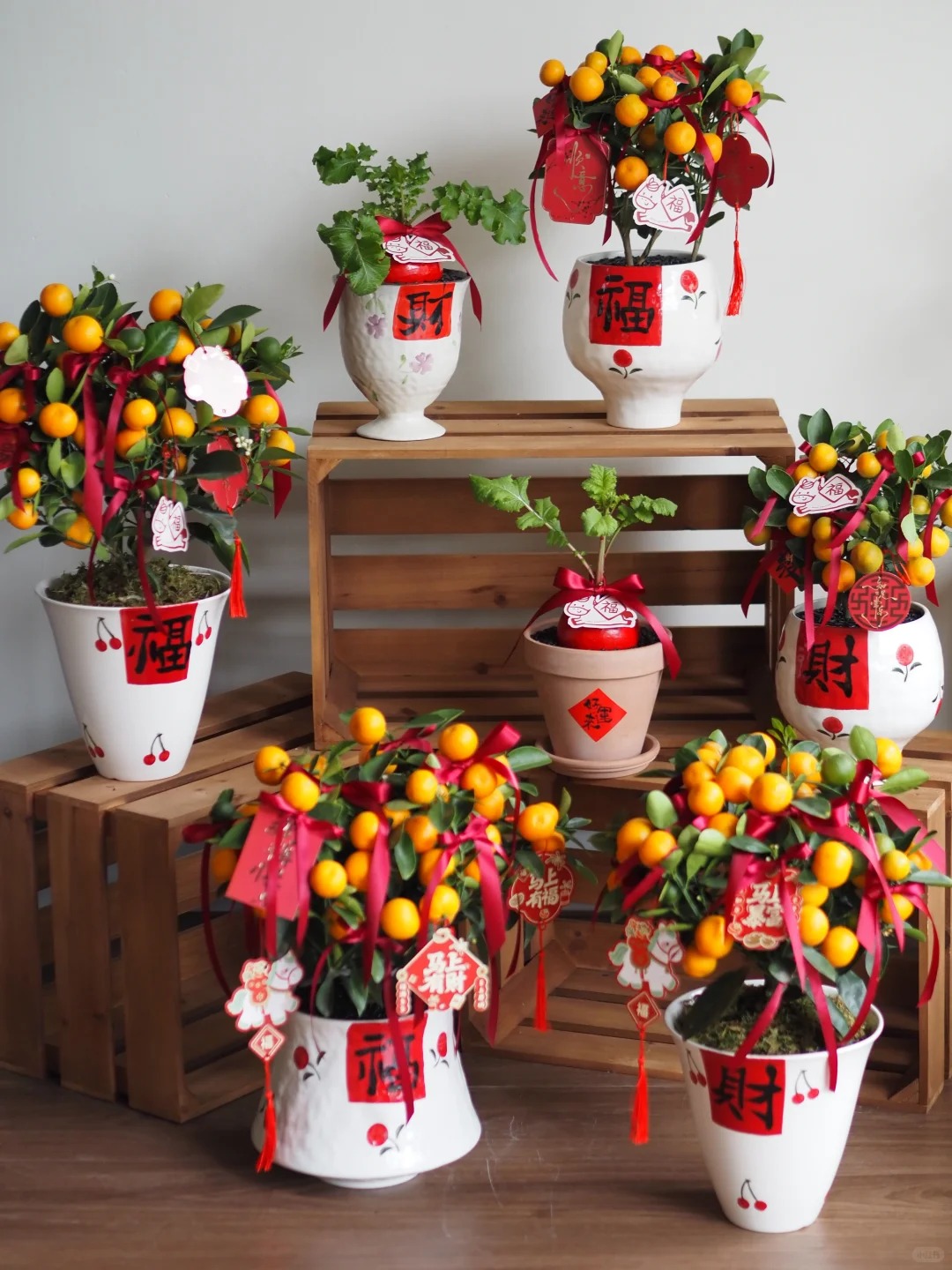 Chưa rinh chậu quất n&agrave;y coi như Tết vơi đi một nửa: Nhỏ th&ocirc;i nhưng "g&aacute;nh" trọn kh&ocirc;ng kh&iacute; xu&acirc;n trong nh&agrave;- Ảnh 26.