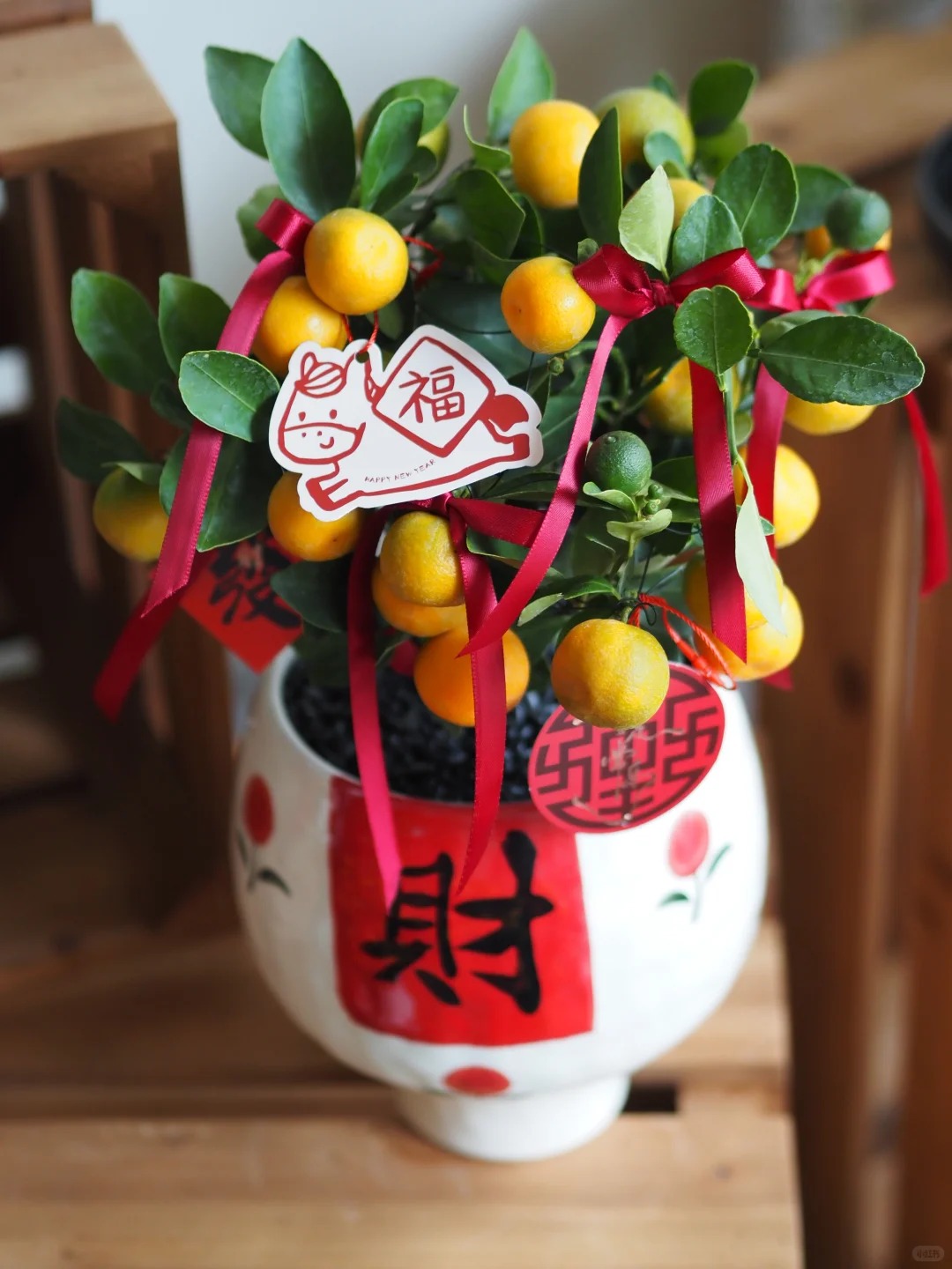 Chưa rinh chậu quất n&agrave;y coi như Tết vơi đi một nửa: Nhỏ th&ocirc;i nhưng "g&aacute;nh" trọn kh&ocirc;ng kh&iacute; xu&acirc;n trong nh&agrave;- Ảnh 28.