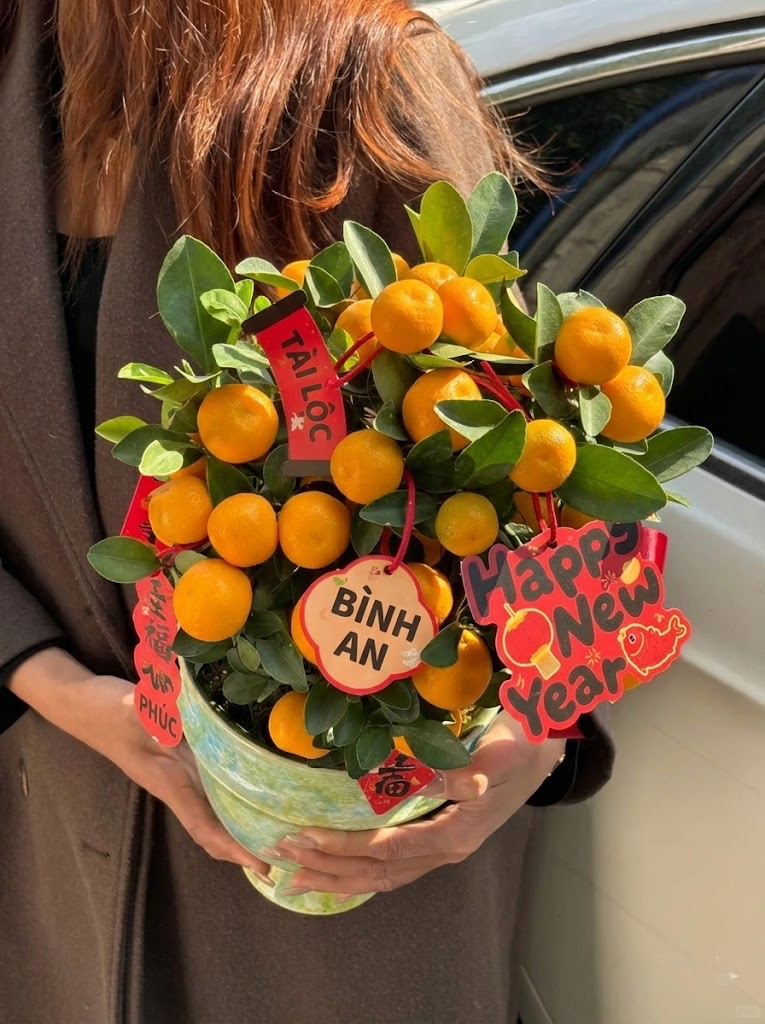 Chưa rinh chậu quất n&agrave;y coi như Tết vơi đi một nửa: Nhỏ th&ocirc;i nhưng "g&aacute;nh" trọn kh&ocirc;ng kh&iacute; xu&acirc;n trong nh&agrave;- Ảnh 5.