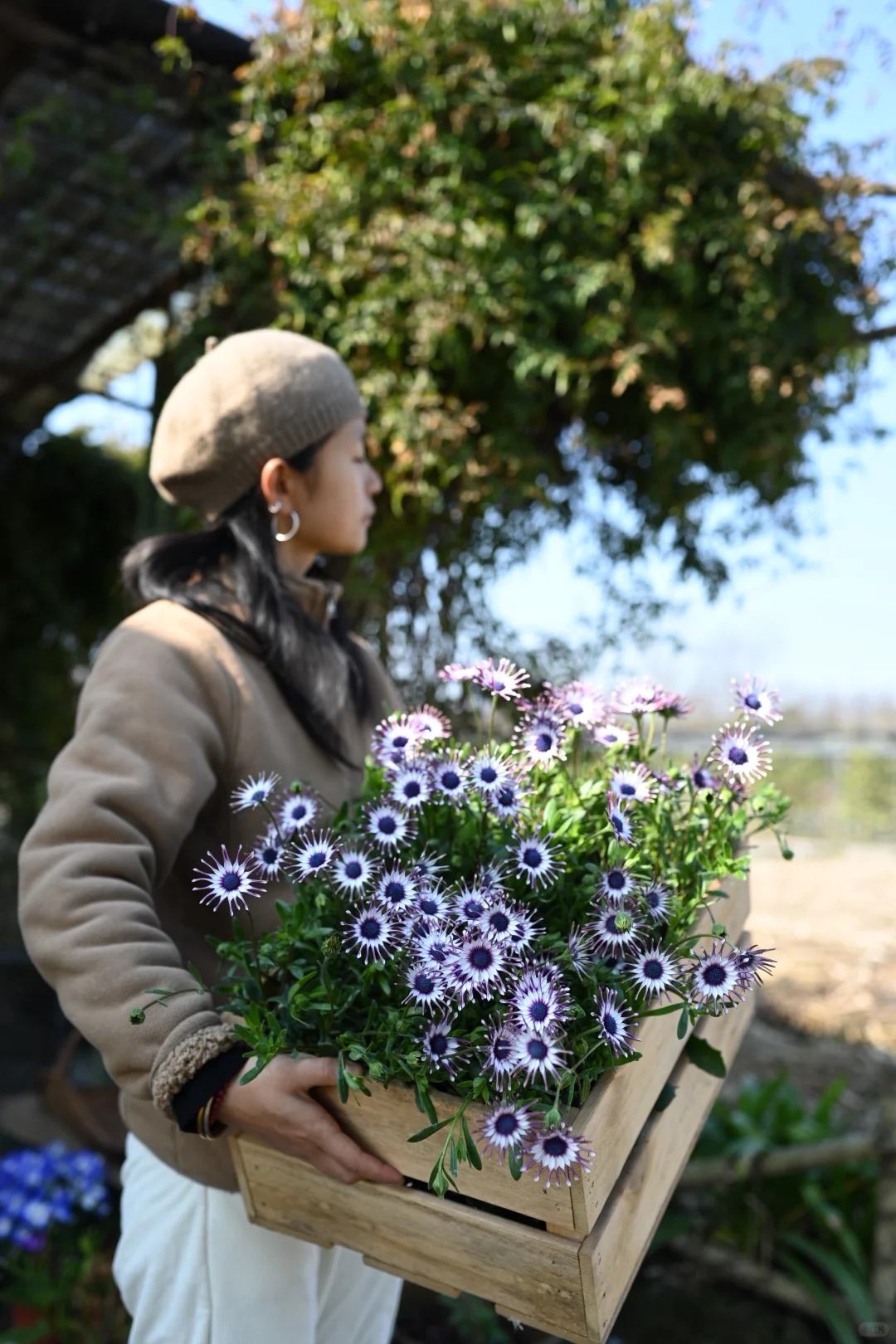 Bị ch&ecirc; giống... h&igrave;nh virus khiến nhiều người e d&egrave; chưng Tết, nhưng lo&agrave;i c&uacute;c "người ngo&agrave;i h&agrave;nh tinh" n&agrave;y lại giấu một b&iacute; mật chữa l&agrave;nh kinh ngạc- Ảnh 4.