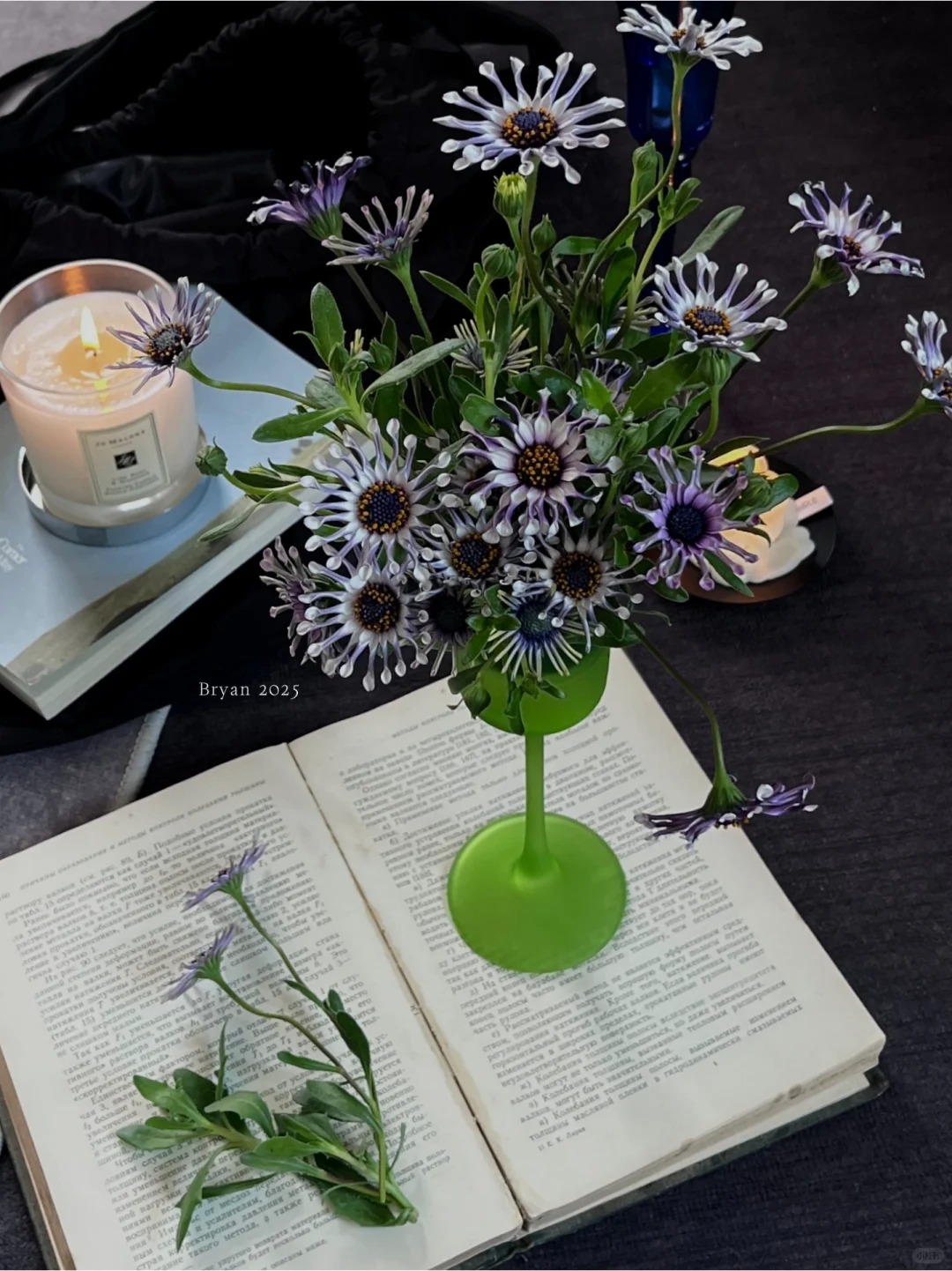 Bị ch&ecirc; giống... h&igrave;nh virus khiến nhiều người e d&egrave; chưng Tết, nhưng lo&agrave;i c&uacute;c "người ngo&agrave;i h&agrave;nh tinh" n&agrave;y lại giấu một b&iacute; mật chữa l&agrave;nh kinh ngạc- Ảnh 16.