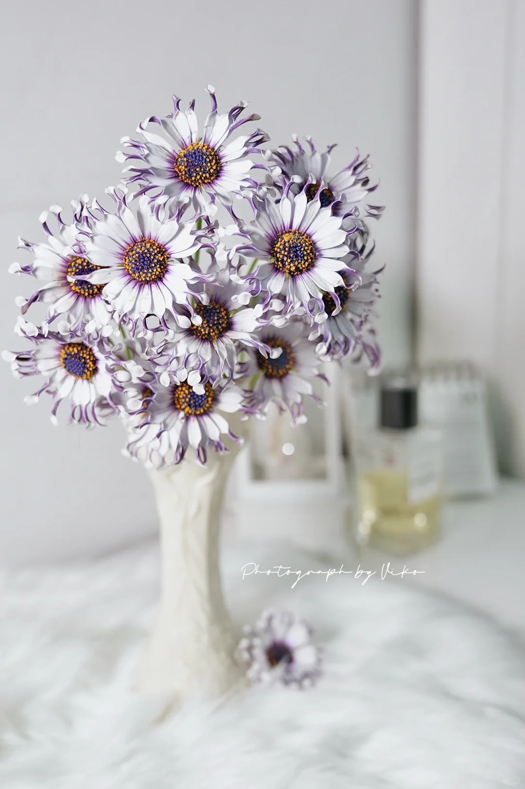 Bị ch&ecirc; giống... h&igrave;nh virus khiến nhiều người e d&egrave; chưng Tết, nhưng lo&agrave;i c&uacute;c "người ngo&agrave;i h&agrave;nh tinh" n&agrave;y lại giấu một b&iacute; mật chữa l&agrave;nh kinh ngạc- Ảnh 8.