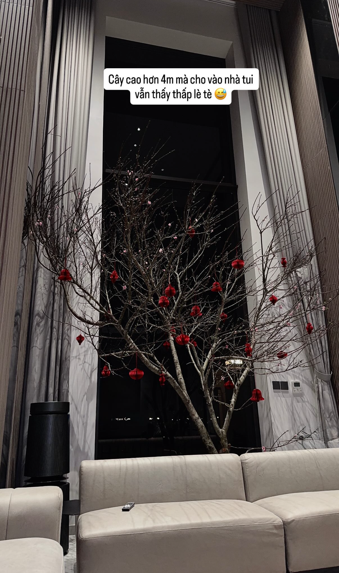 Valentine cũng l&agrave; 27 Tết, hội CEO, ph&uacute; b&agrave; trưng mai - đ&agrave;o - quất ngập biệt thự đọ đẳng cấp: Hoa hồng "thất sủng"?- Ảnh 18.