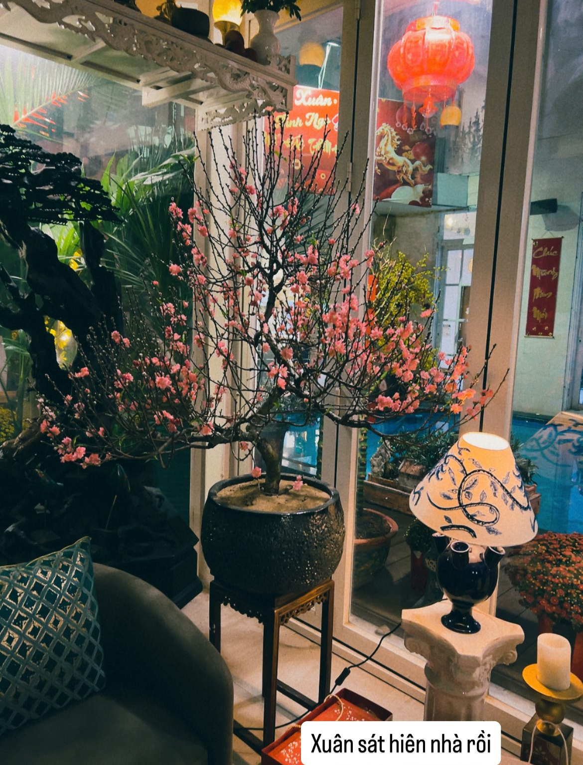 Valentine cũng l&agrave; 27 Tết, hội CEO, ph&uacute; b&agrave; trưng mai - đ&agrave;o - quất ngập biệt thự đọ đẳng cấp: Hoa hồng "thất sủng"?- Ảnh 15.