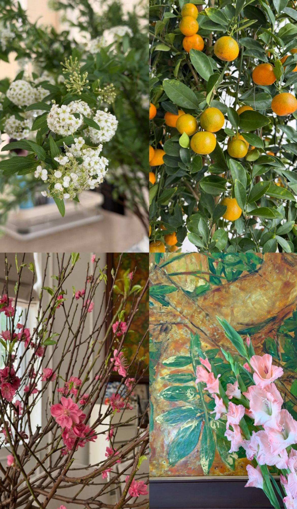 Valentine cũng l&agrave; 27 Tết, hội CEO, ph&uacute; b&agrave; trưng mai - đ&agrave;o - quất ngập biệt thự đọ đẳng cấp: Hoa hồng "thất sủng"?- Ảnh 2.