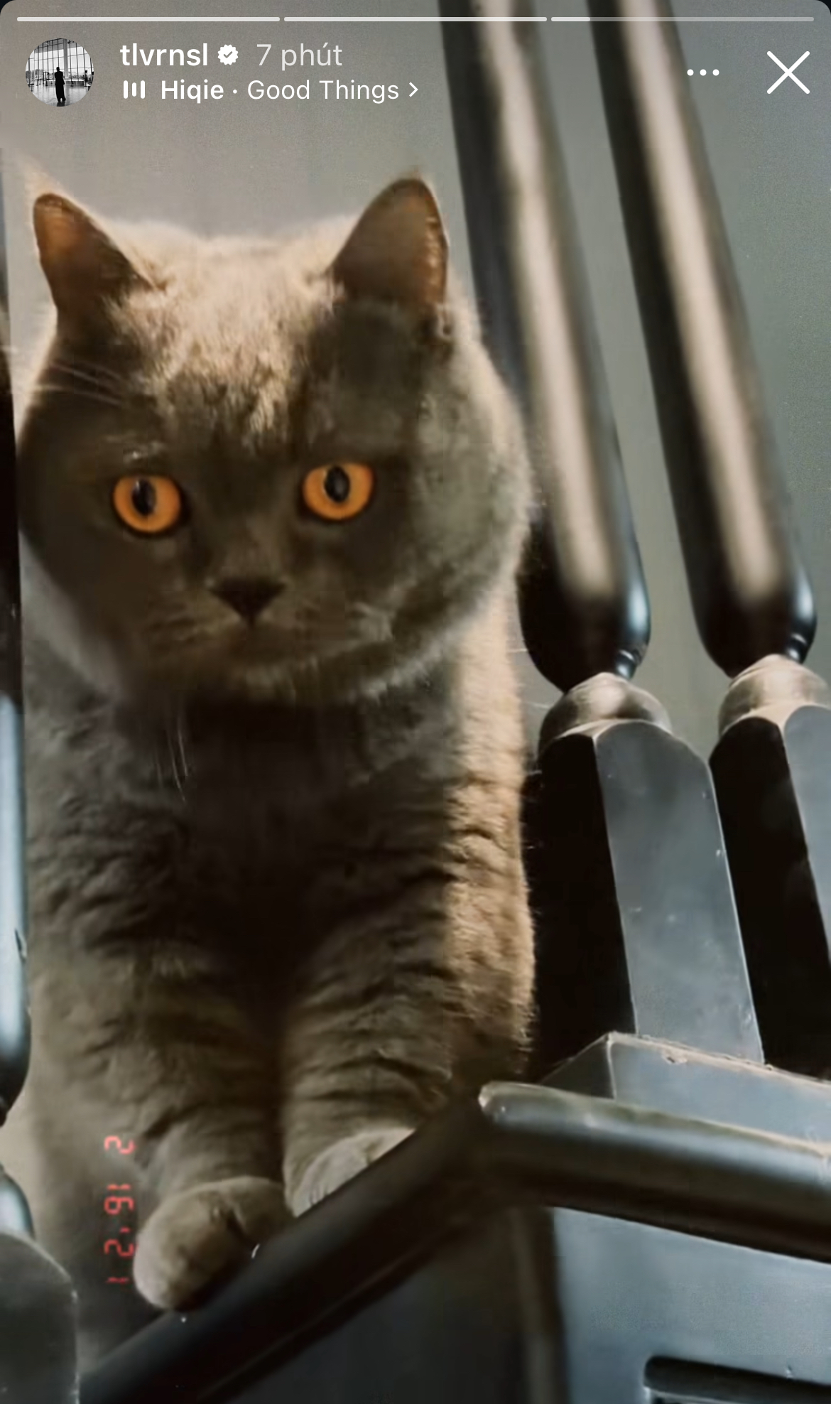 Sao Việt ng&agrave;y Valentine: T&oacute;c Ti&ecirc;n - Touliver th&aacute;i độ tr&aacute;i ngược, Sơn T&ugrave;ng để lộ hint lạ- Ảnh 14.