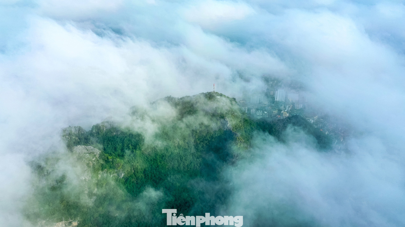 Cảnh lạ ở phố biển Quảng Ninh- Ảnh 4.