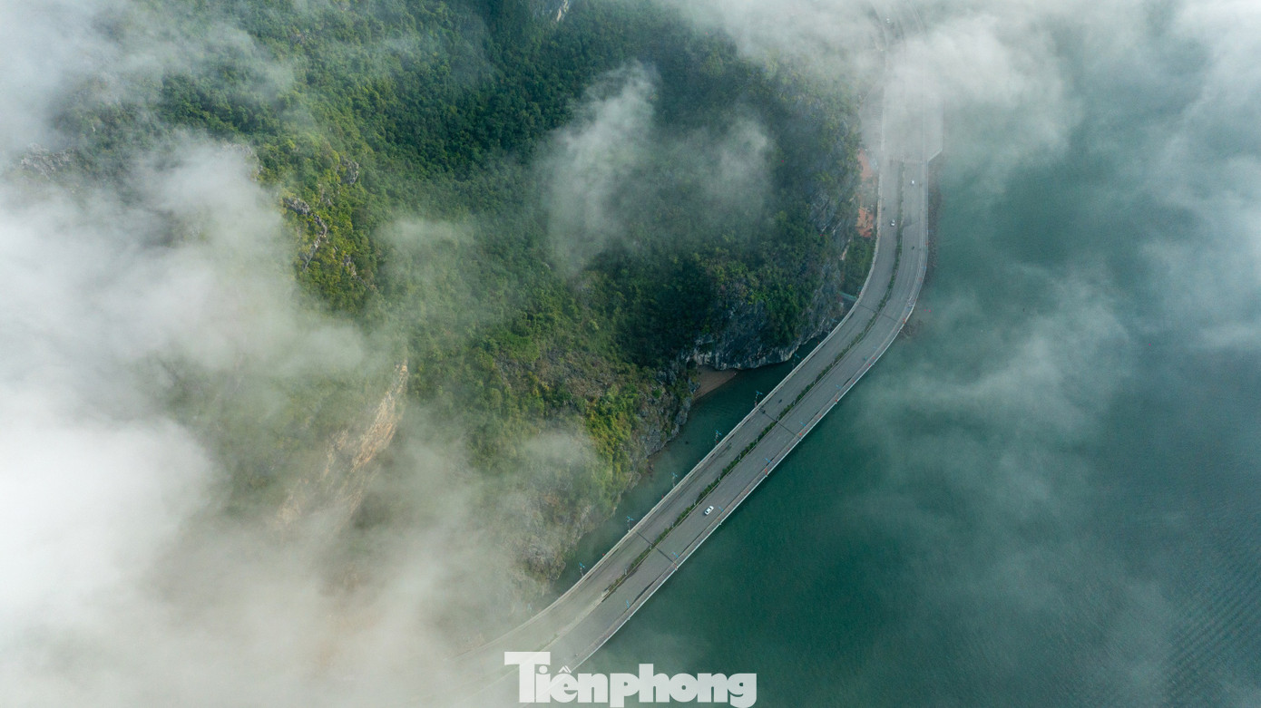 Cảnh lạ ở phố biển Quảng Ninh- Ảnh 8.