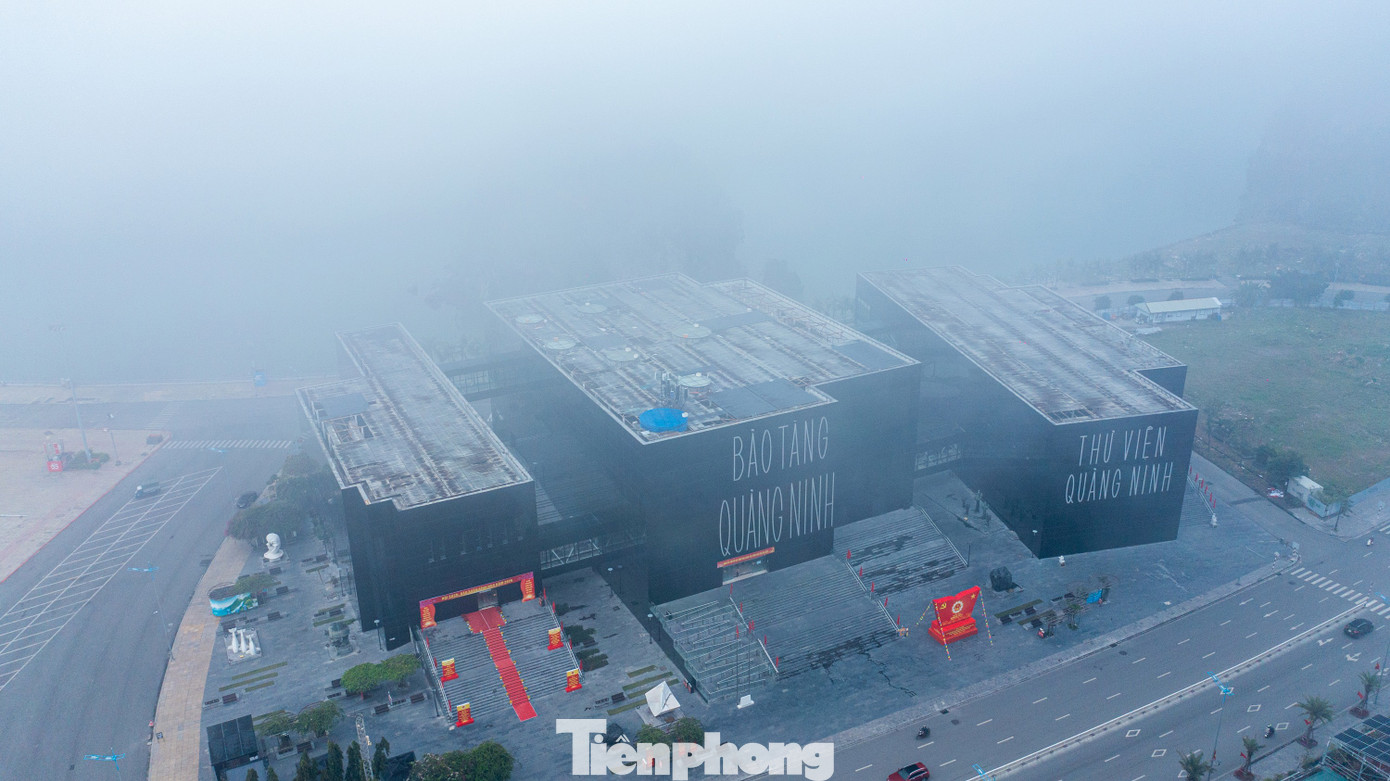 Cảnh lạ ở phố biển Quảng Ninh- Ảnh 9.